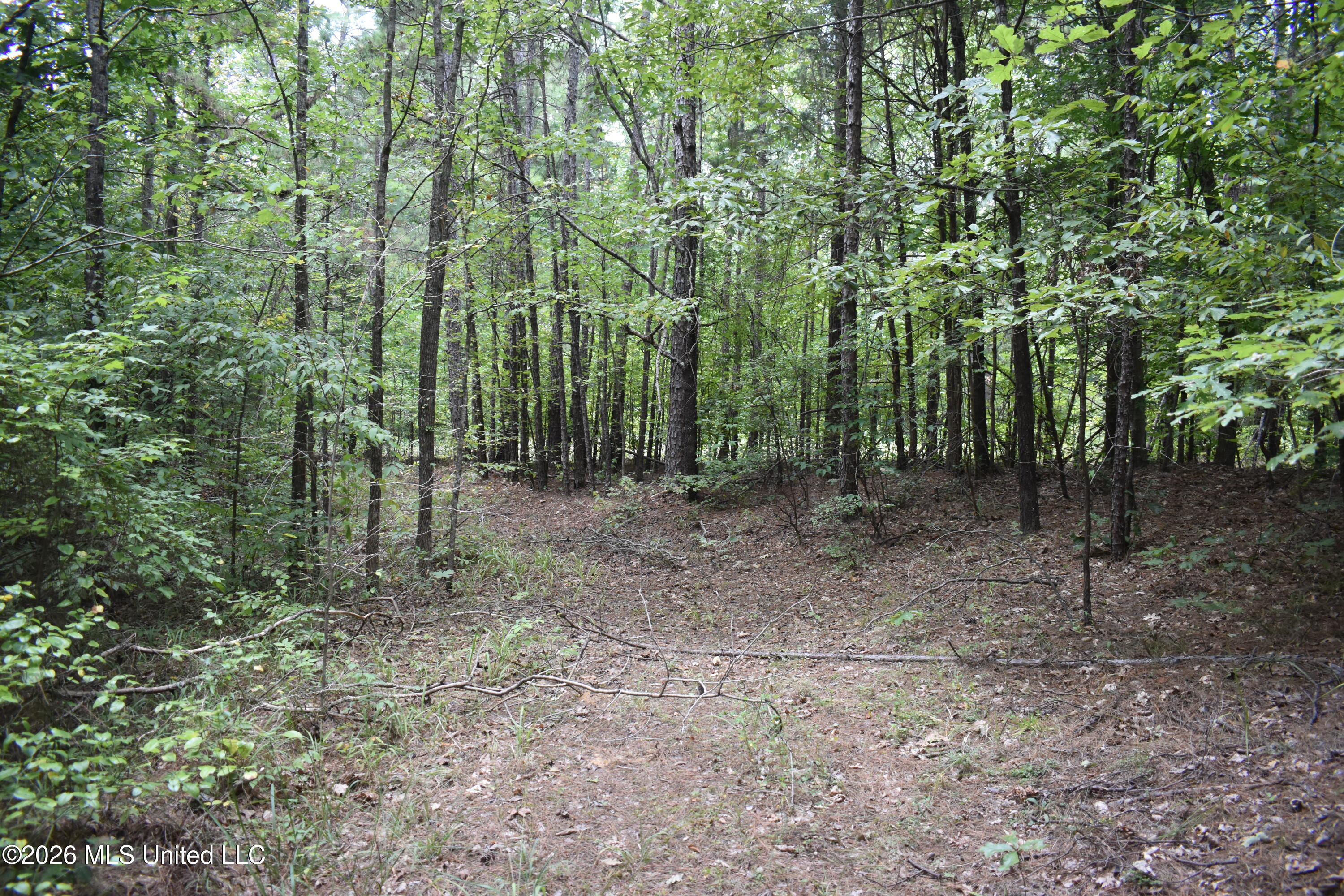 700 Front Road Property Photo 15