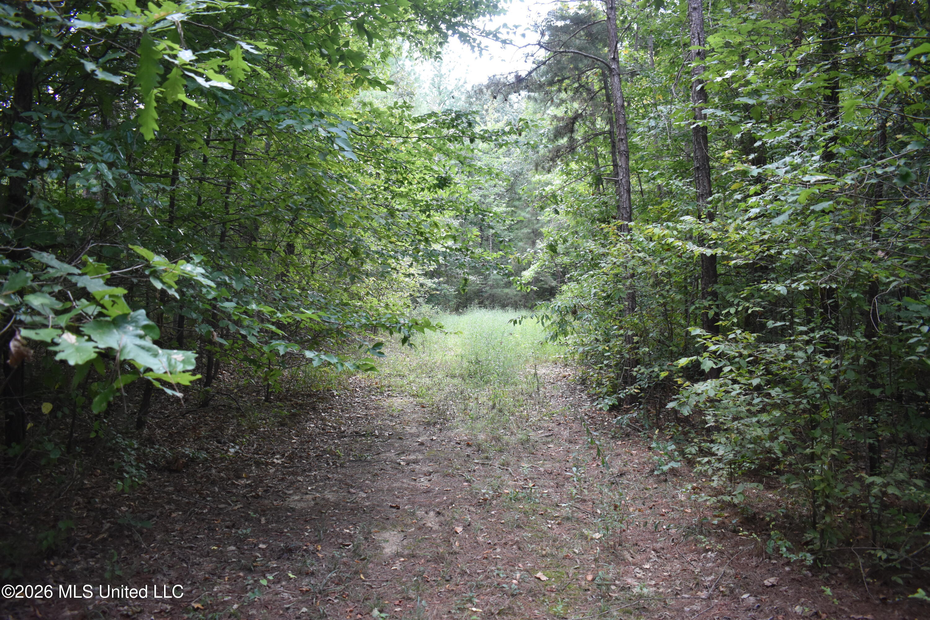 700 Front Road Property Photo 16