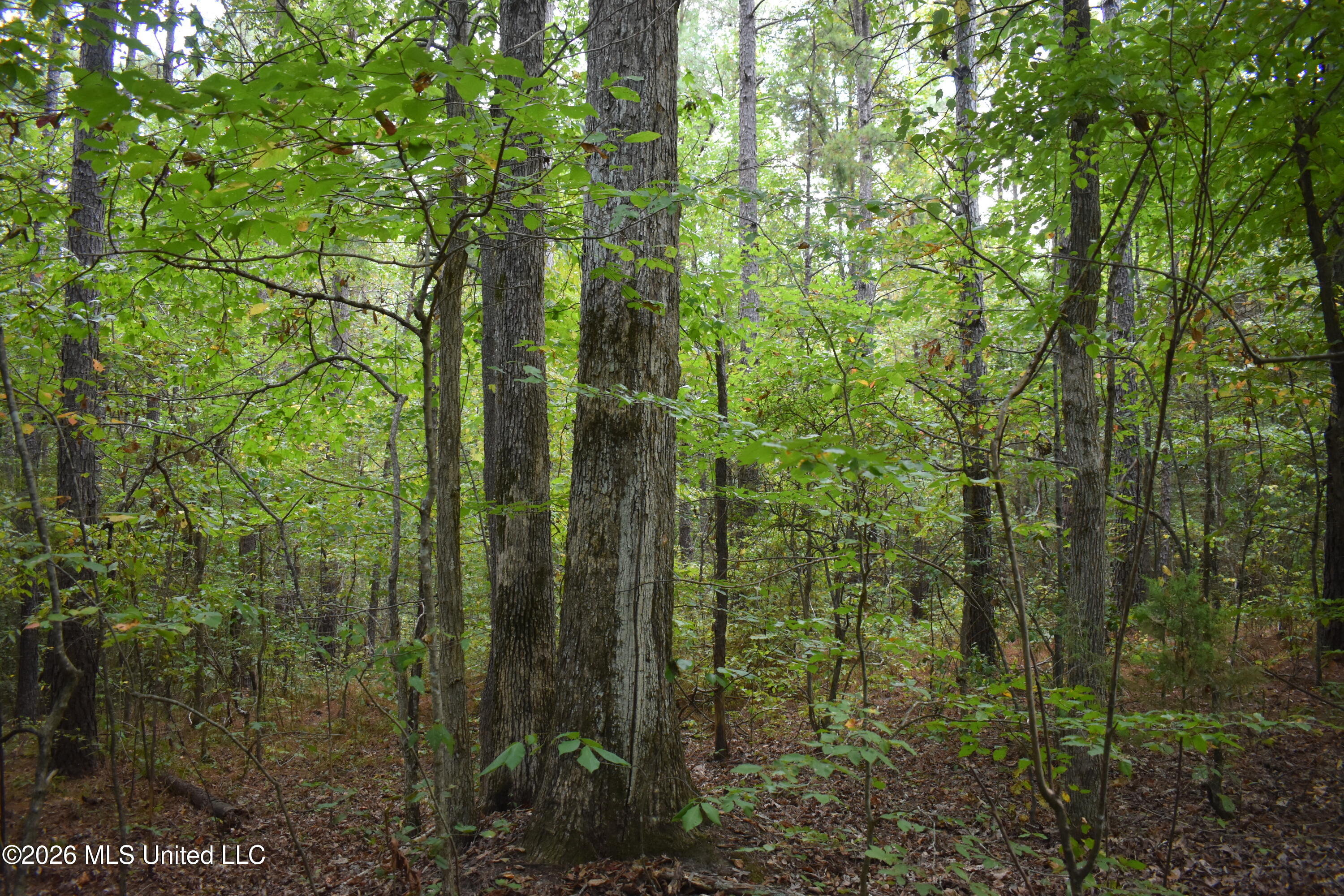 700 Front Road Property Photo 17