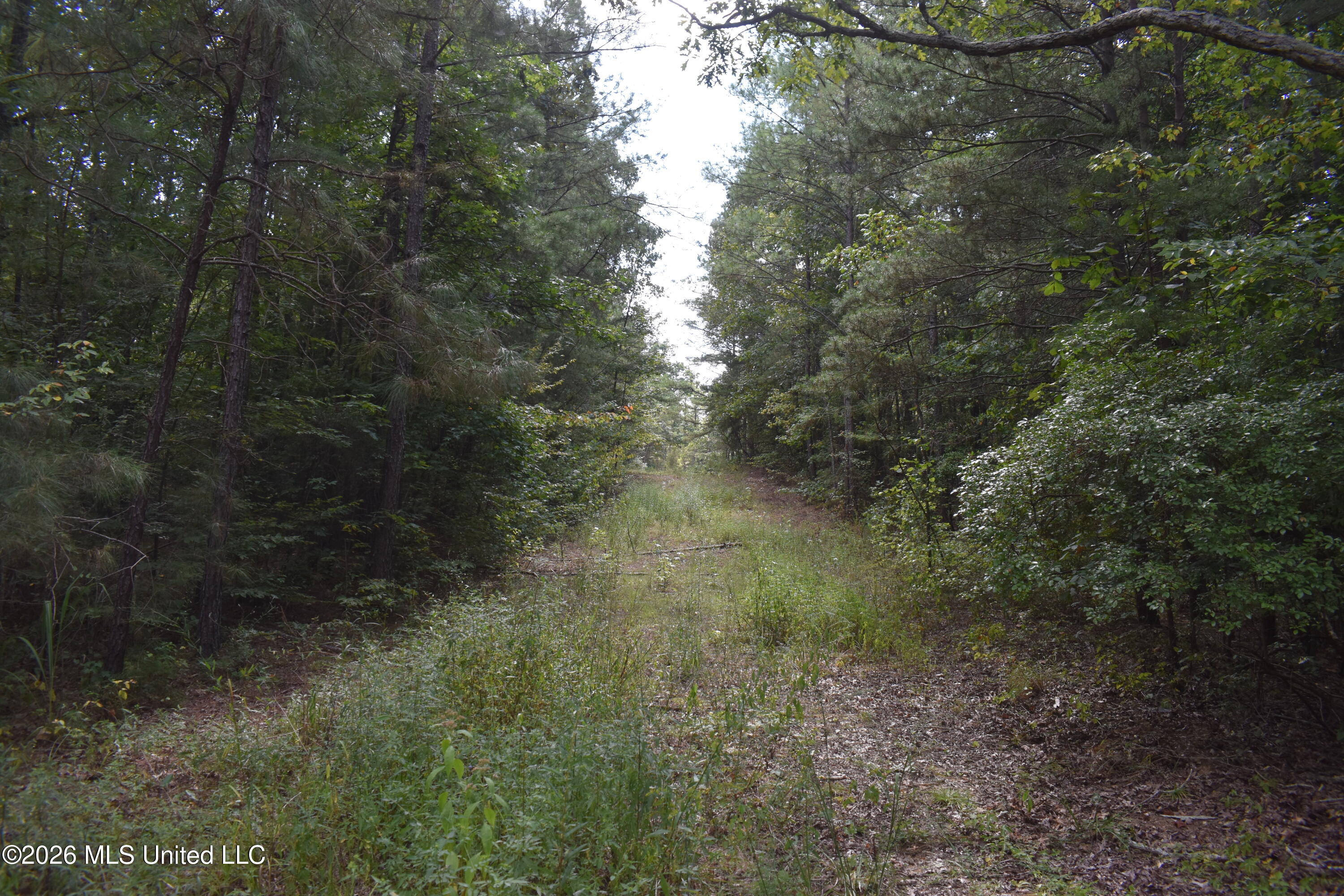 700 Front Road Property Photo 18