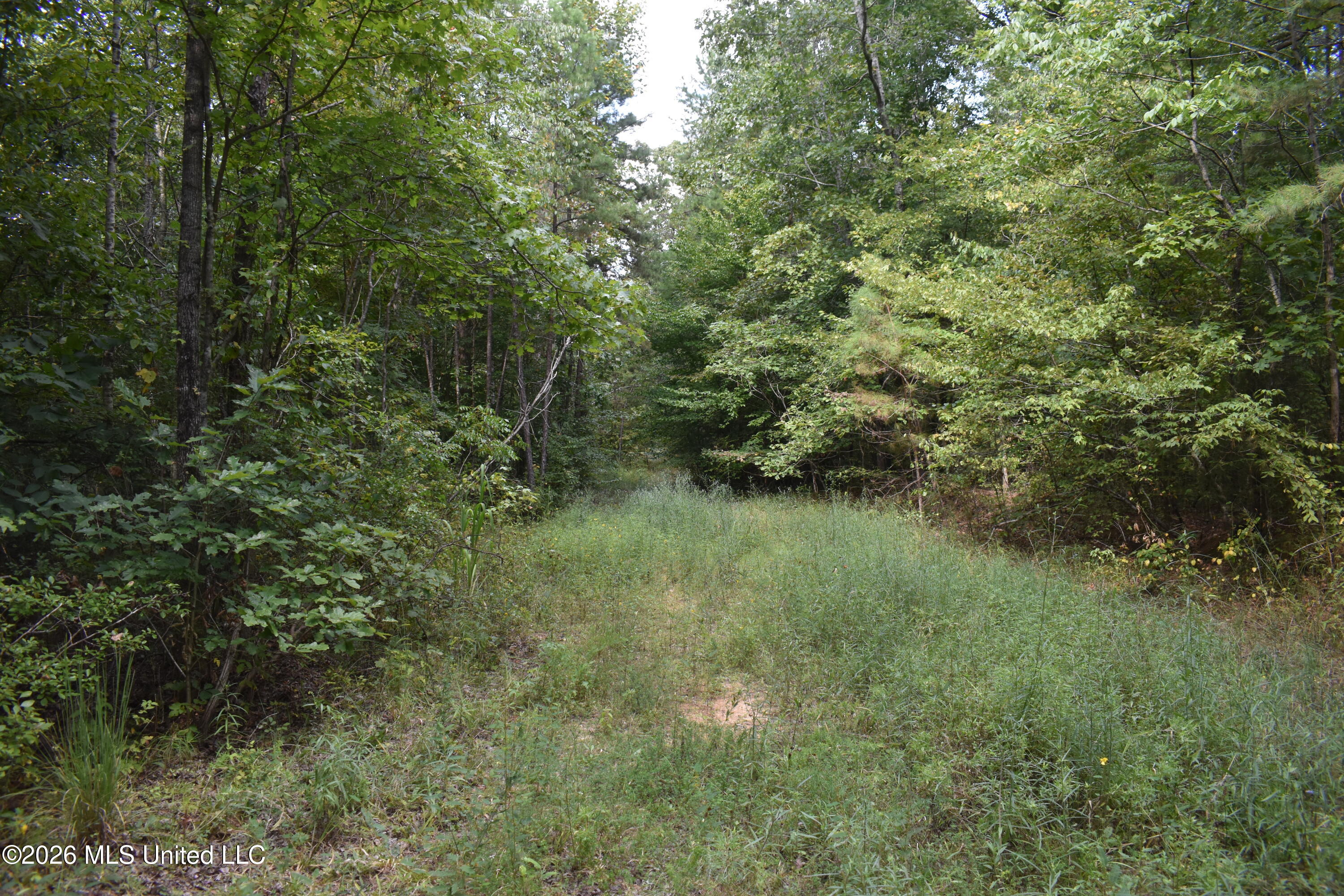 700 Front Road Property Photo 19