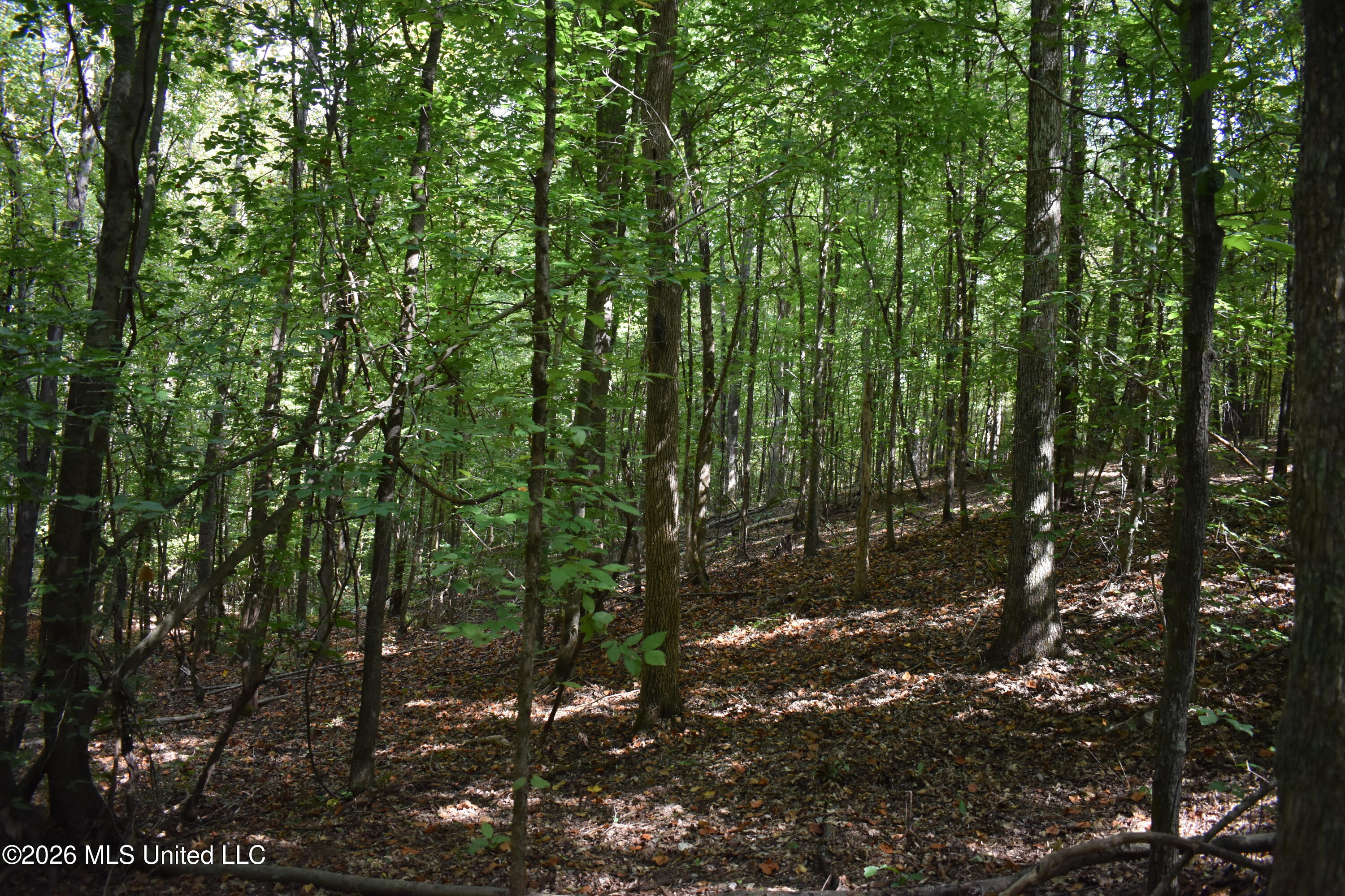 700 Front Road Property Photo 20