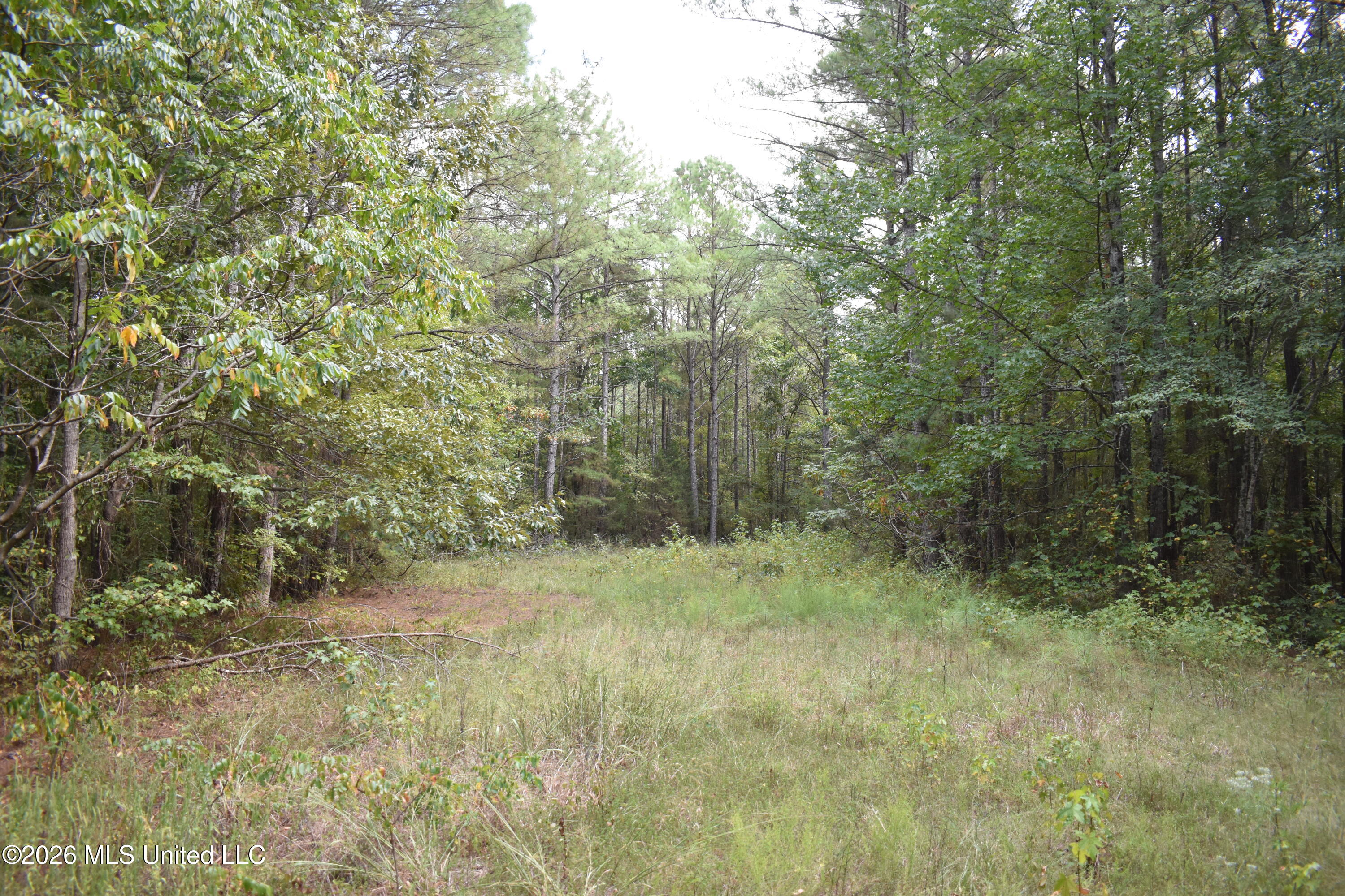 700 Front Road Property Photo 21