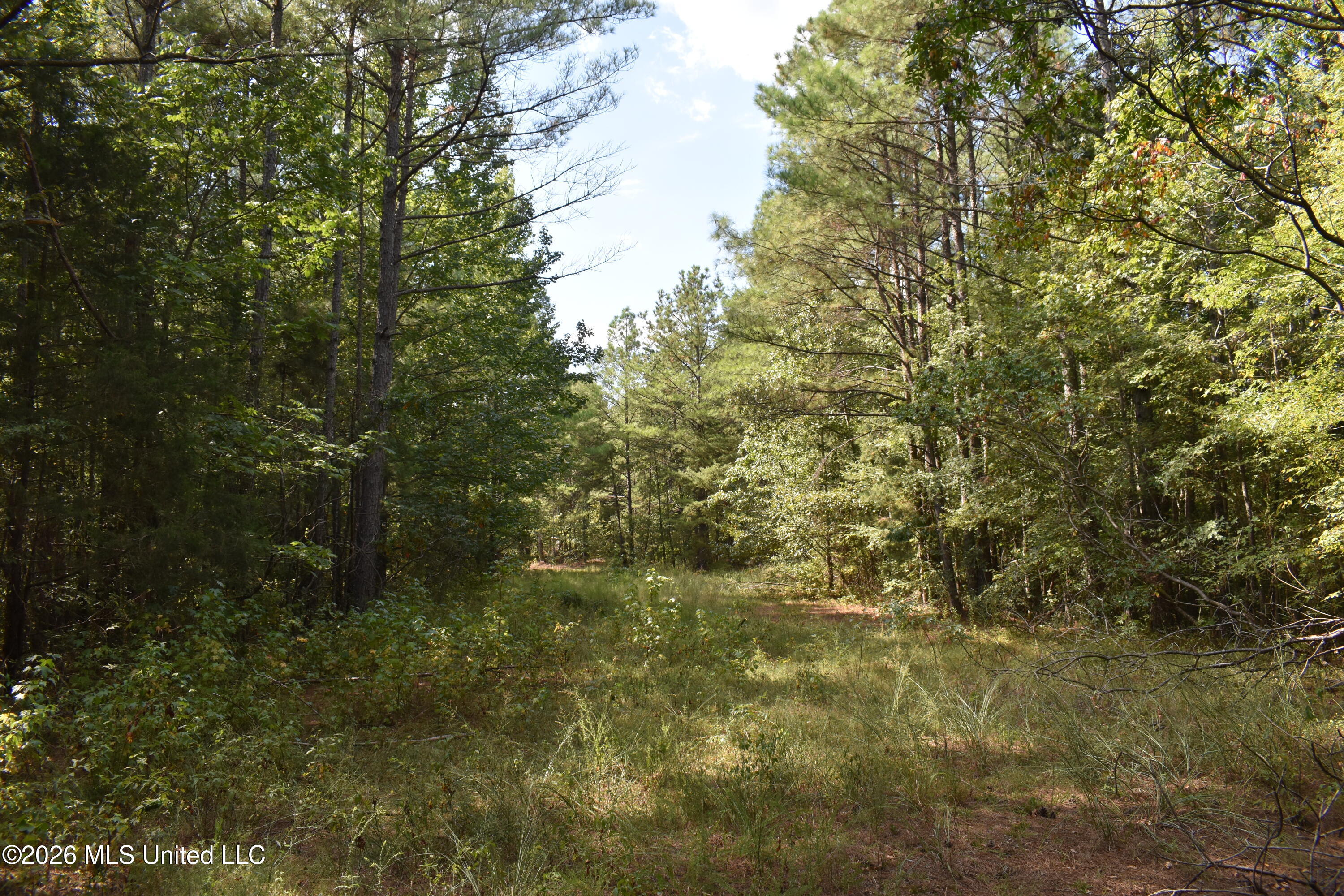 700 Front Road Property Photo 22
