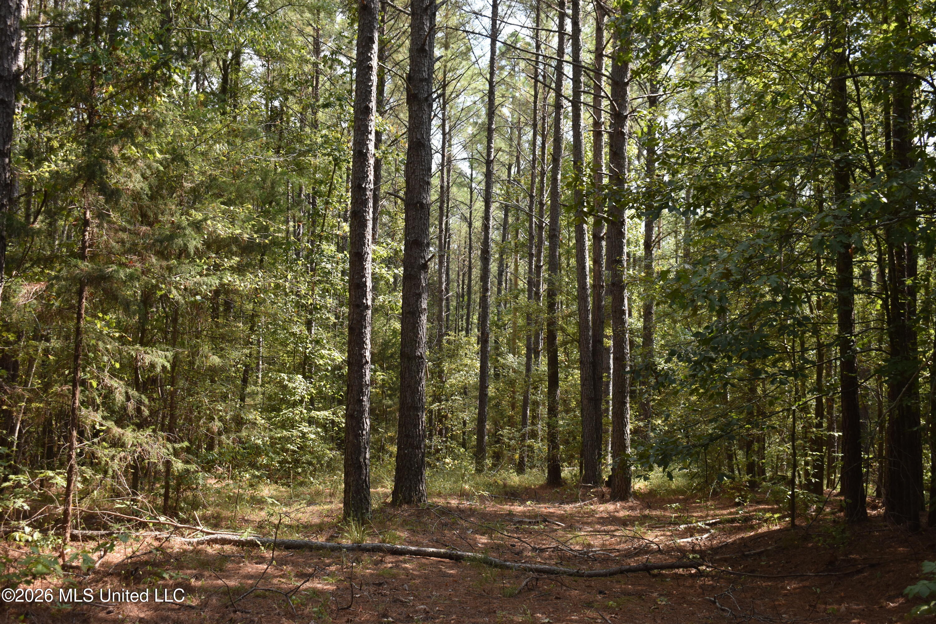 700 Front Road Property Photo 23