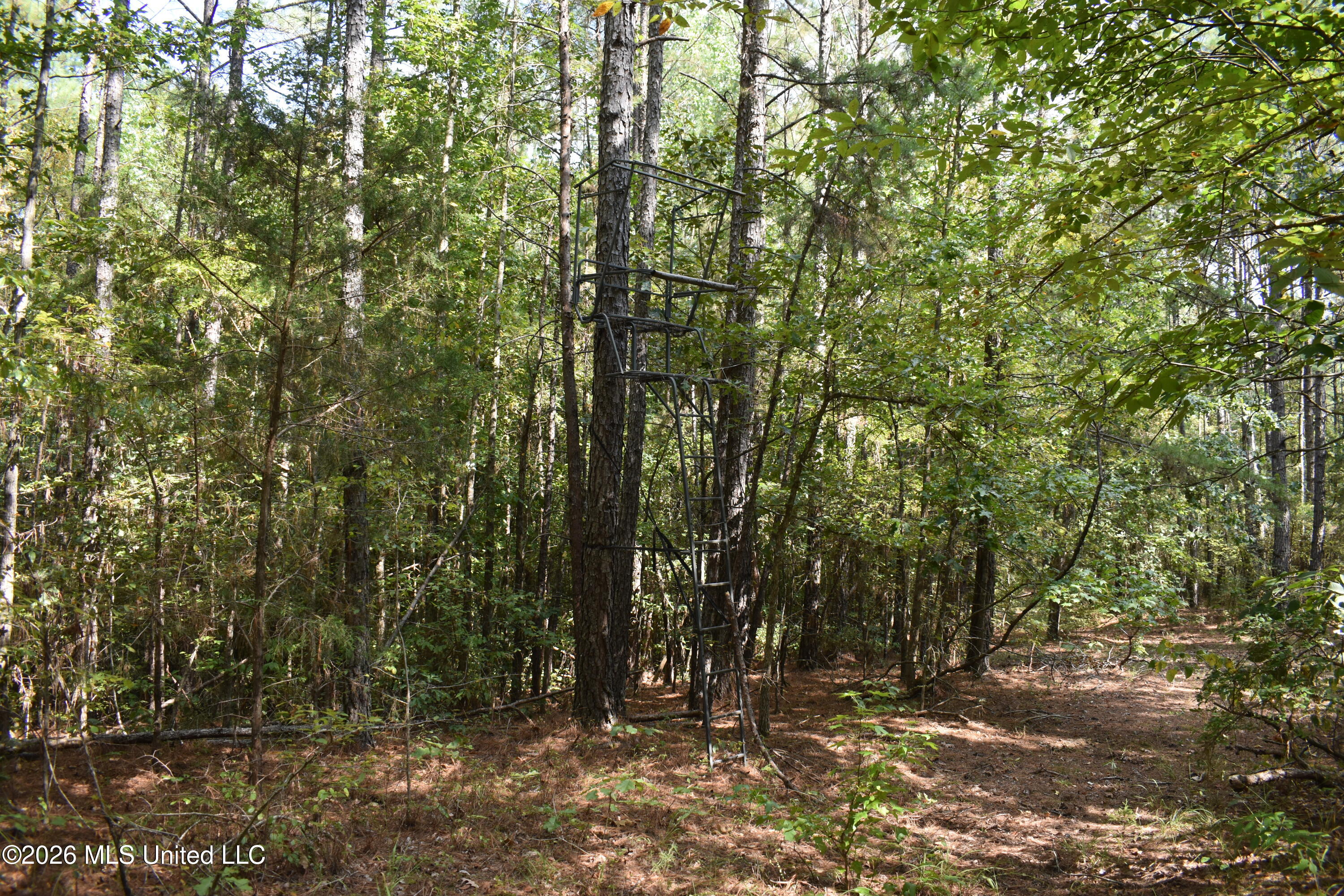 700 Front Road Property Photo 24