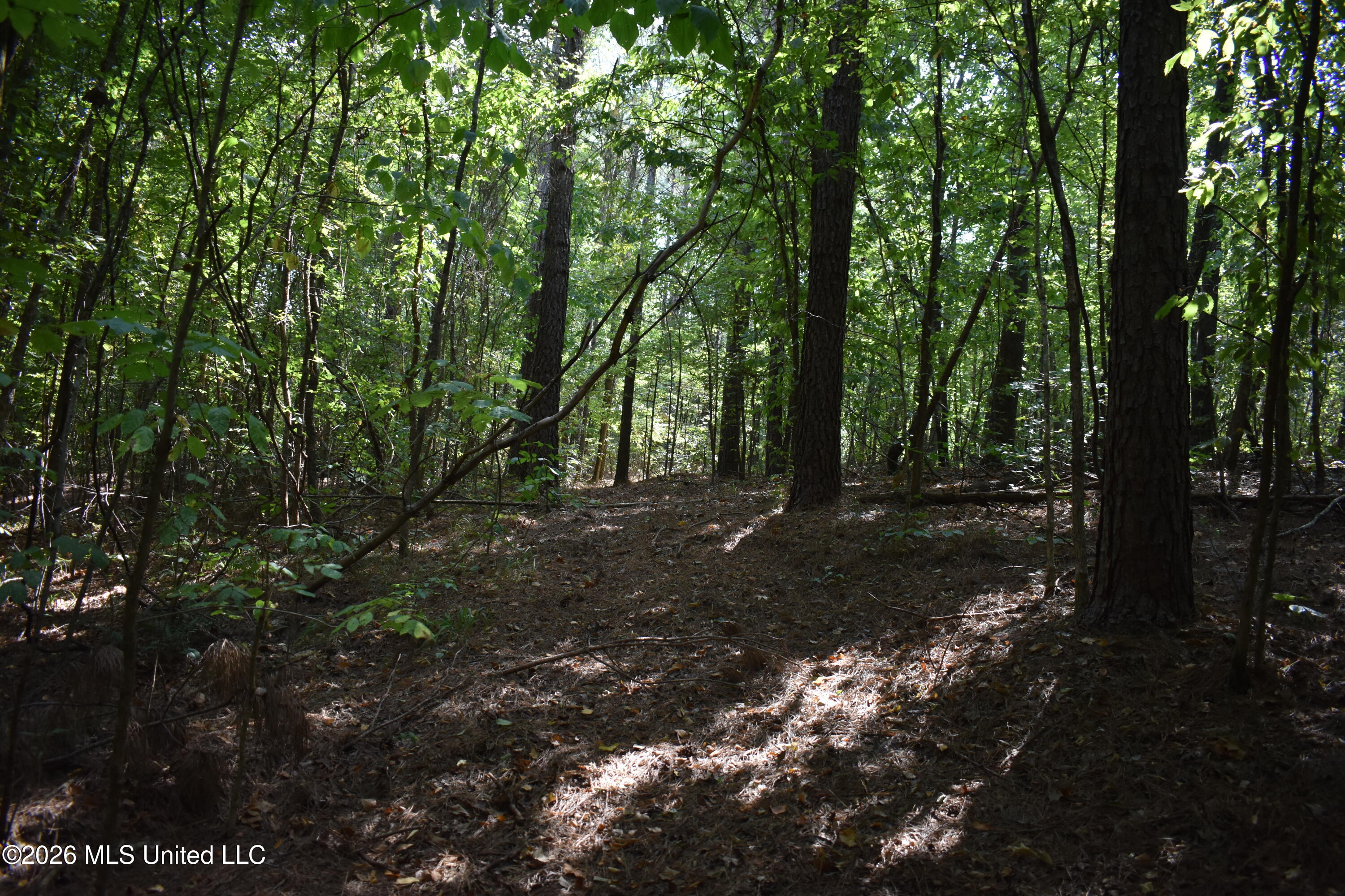 700 Front Road Property Photo 26