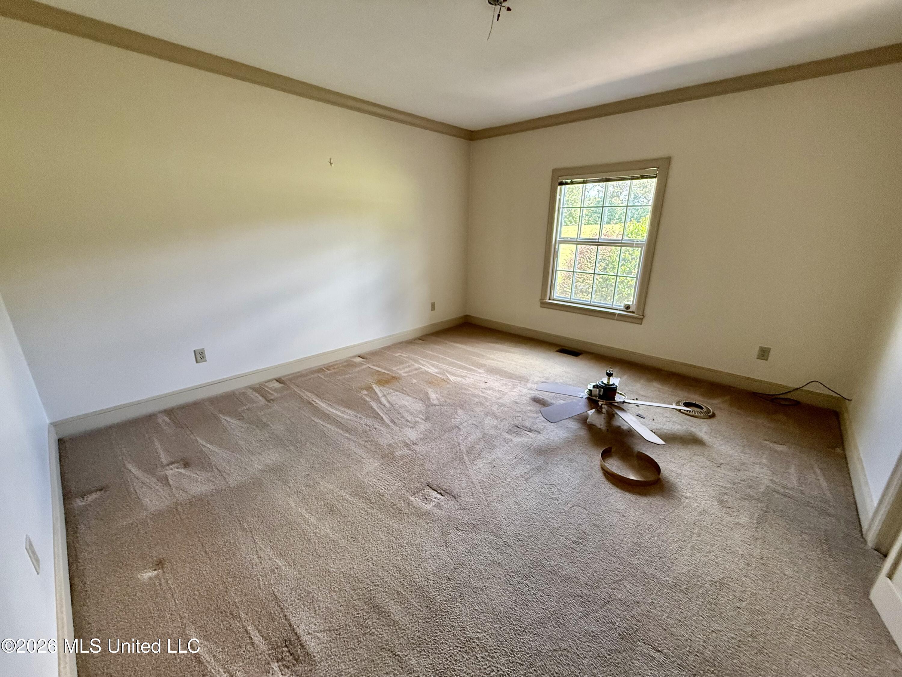 297 Old Magee Road Property Photo 31