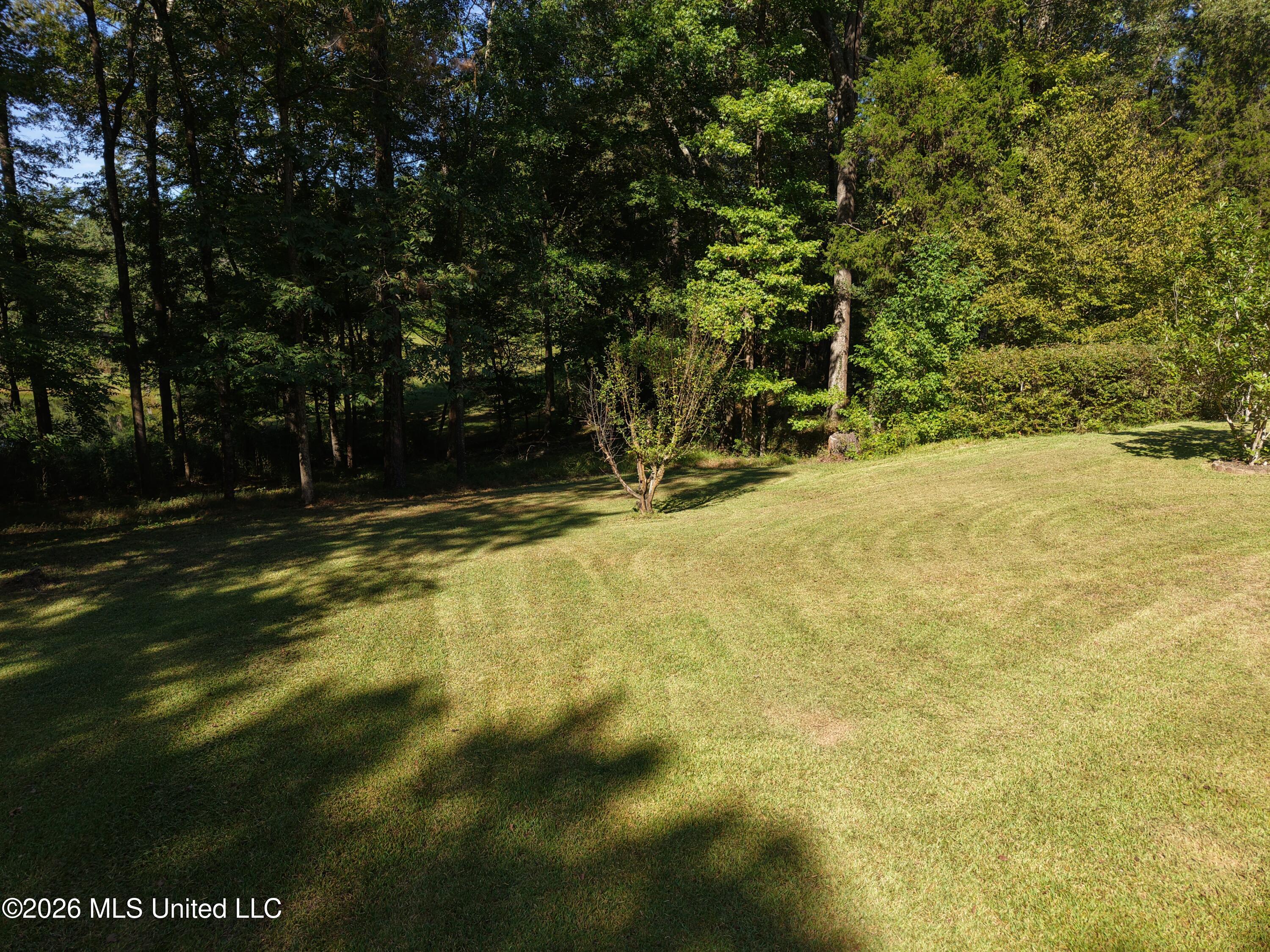 2053 Warrenton Property Photo 59