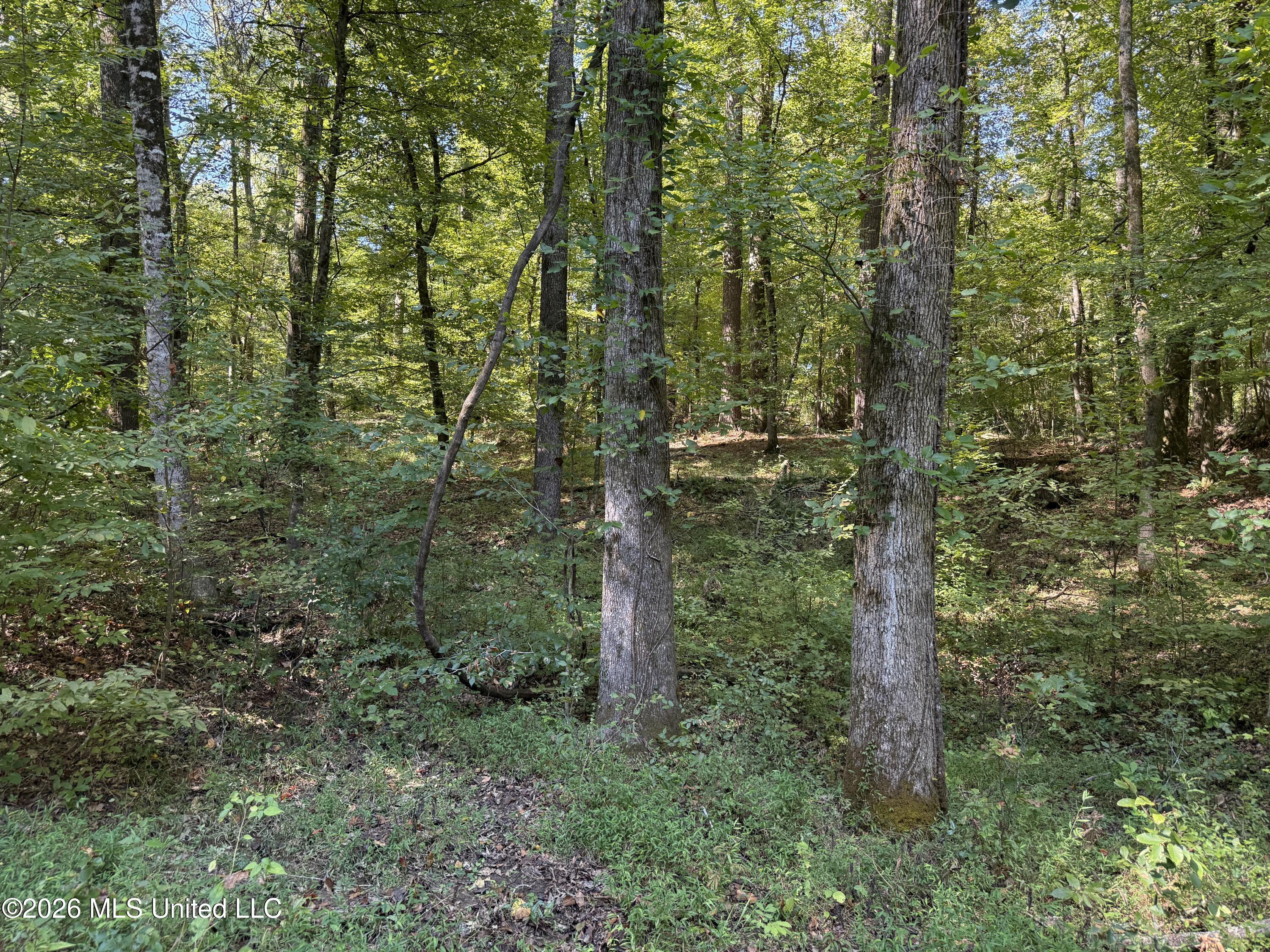 2053 Warrenton Property Photo 78