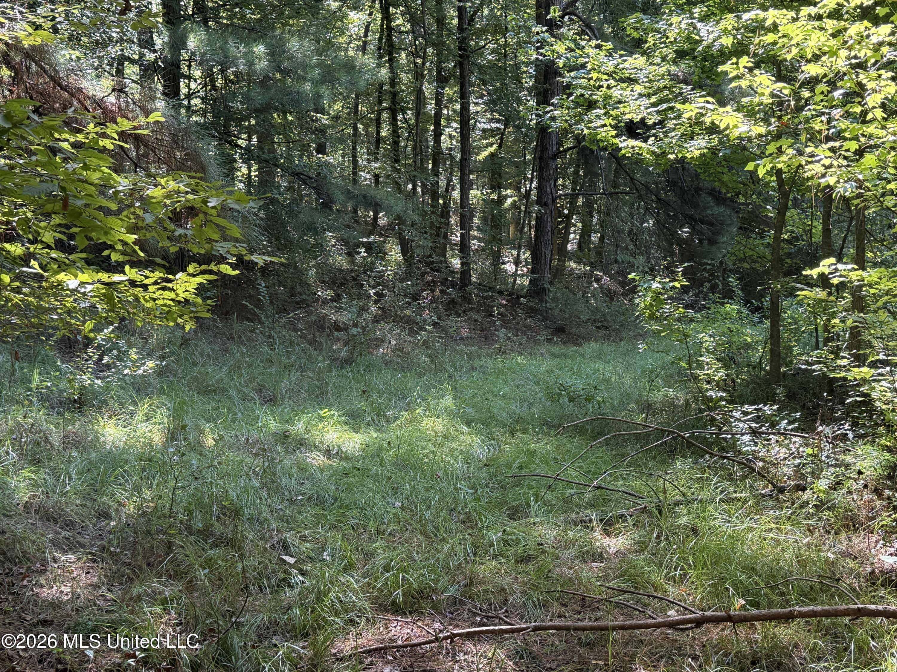 2053 Warrenton Property Photo 80