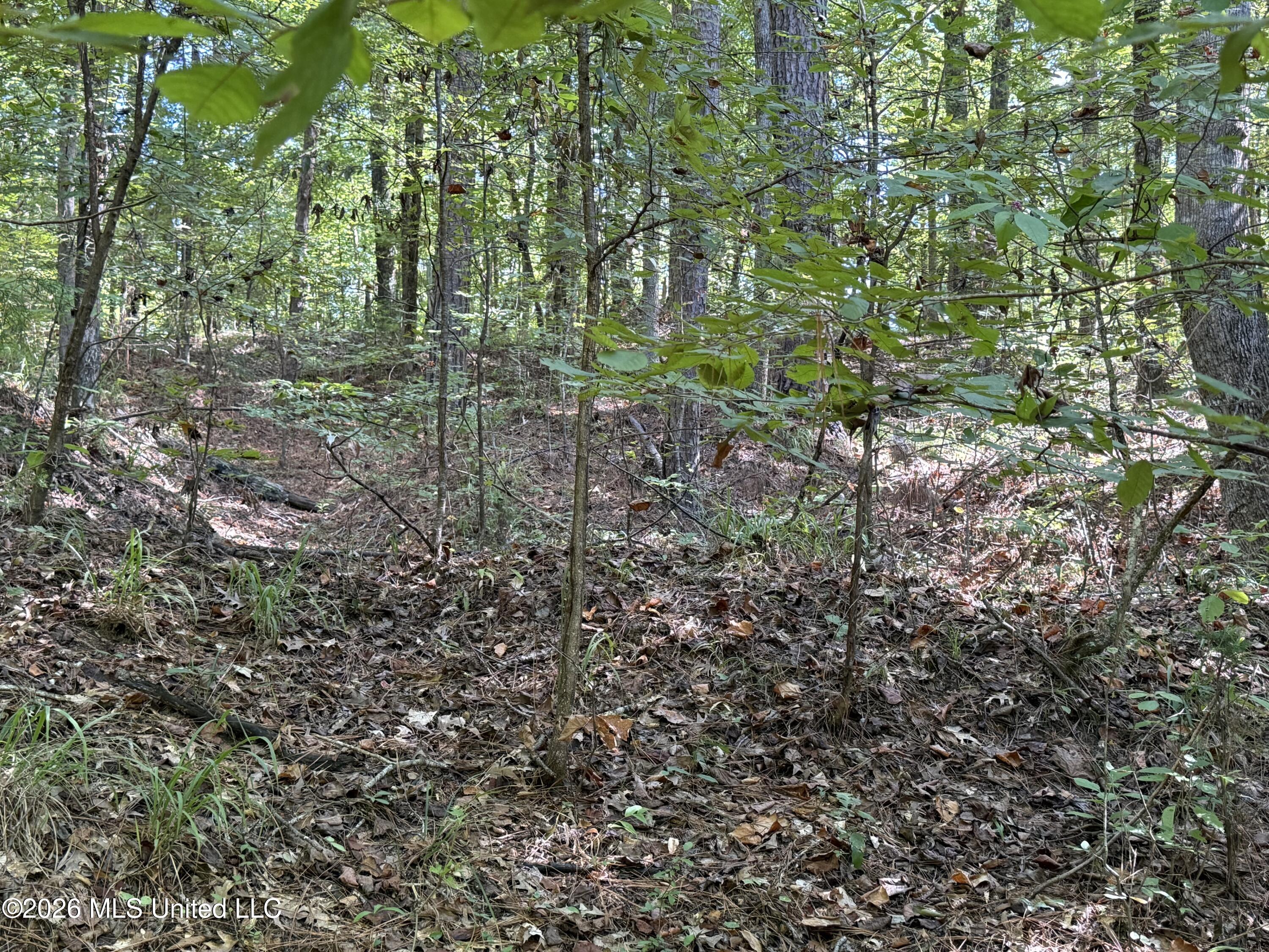 2053 Warrenton Property Photo 81