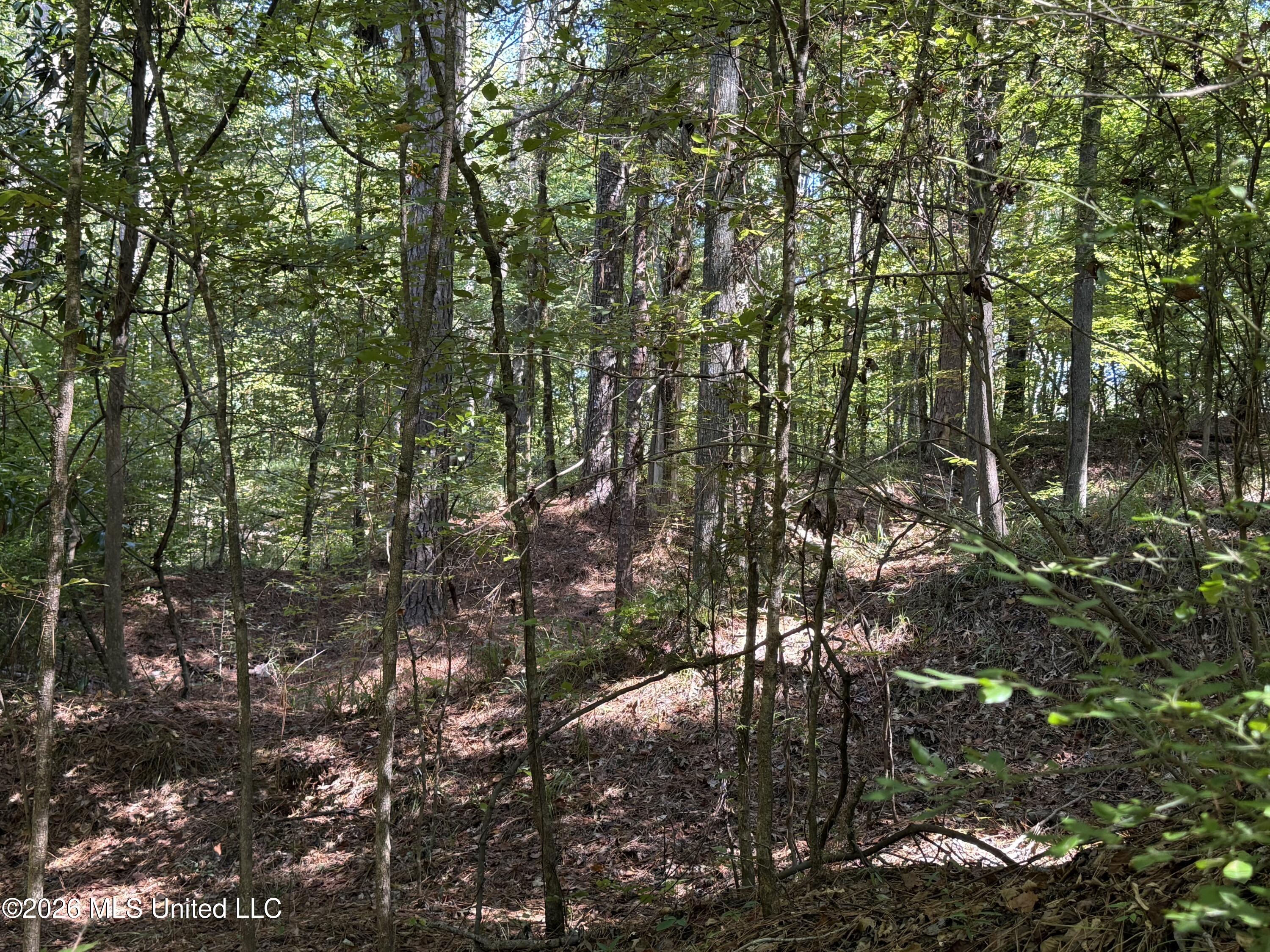 2053 Warrenton Property Photo 82