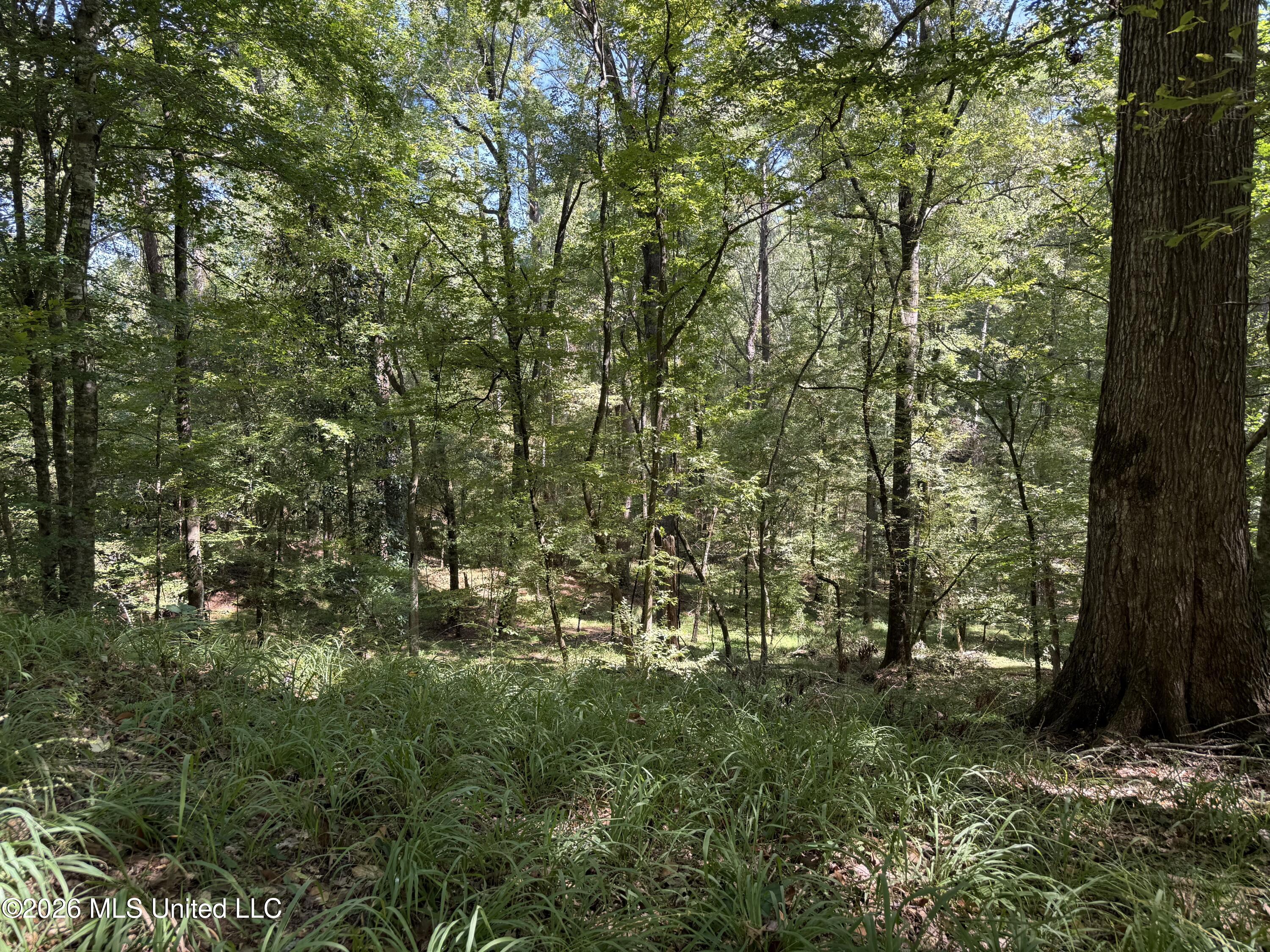 2053 Warrenton Property Photo 83