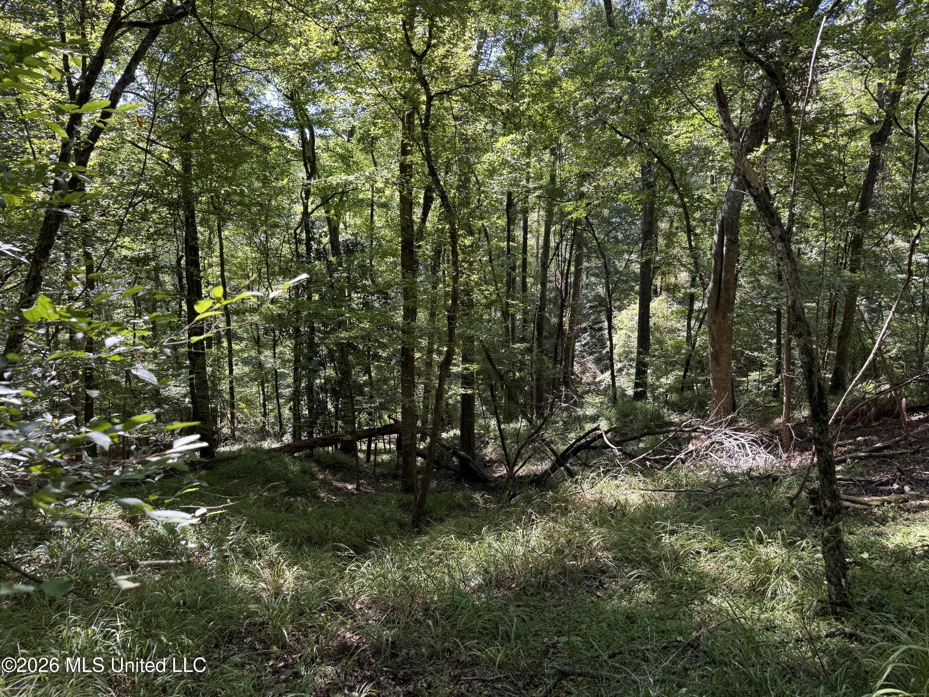 2053 Warrenton Property Photo 84
