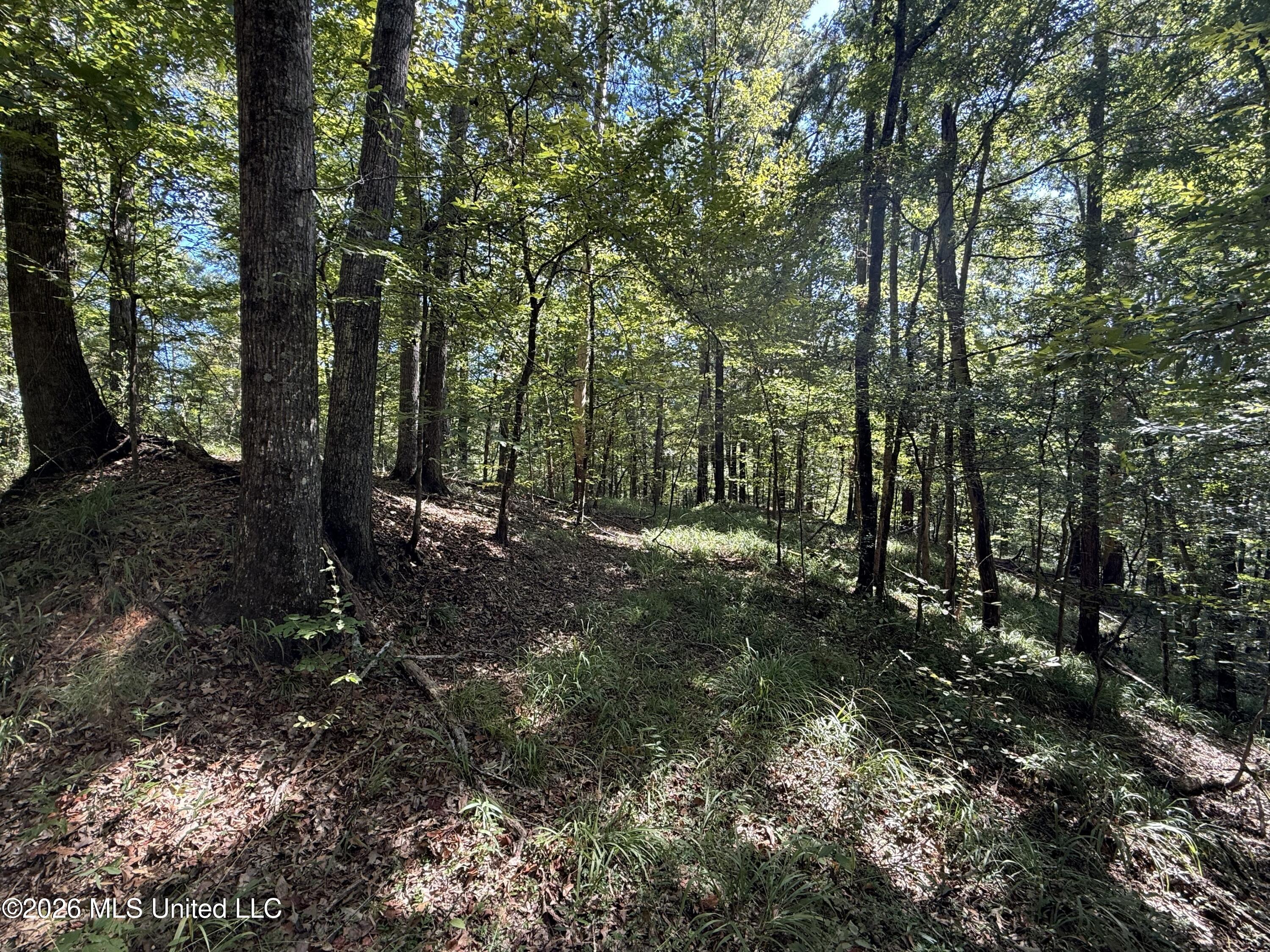 2053 Warrenton Property Photo 85