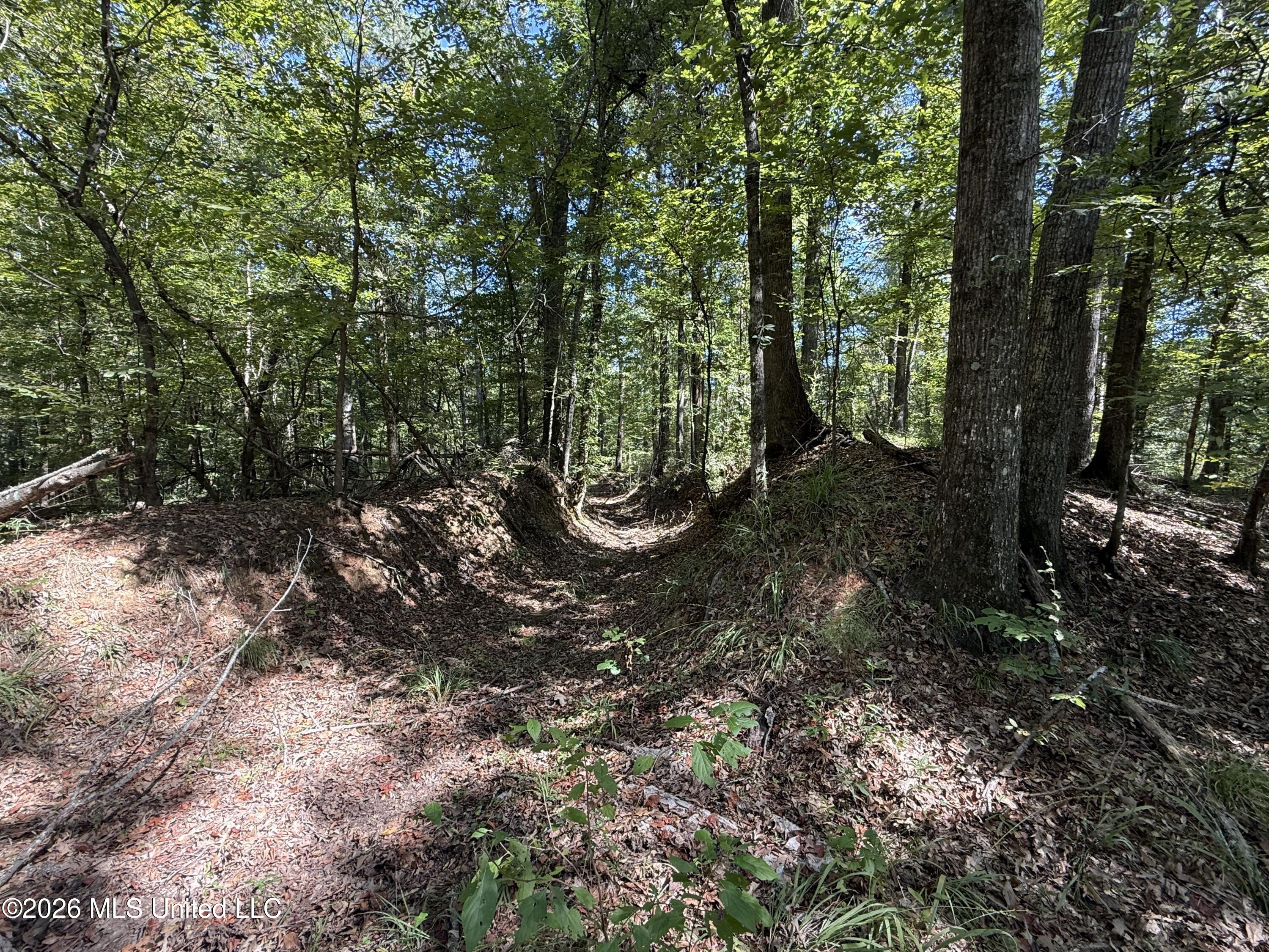 2053 Warrenton Property Photo 86