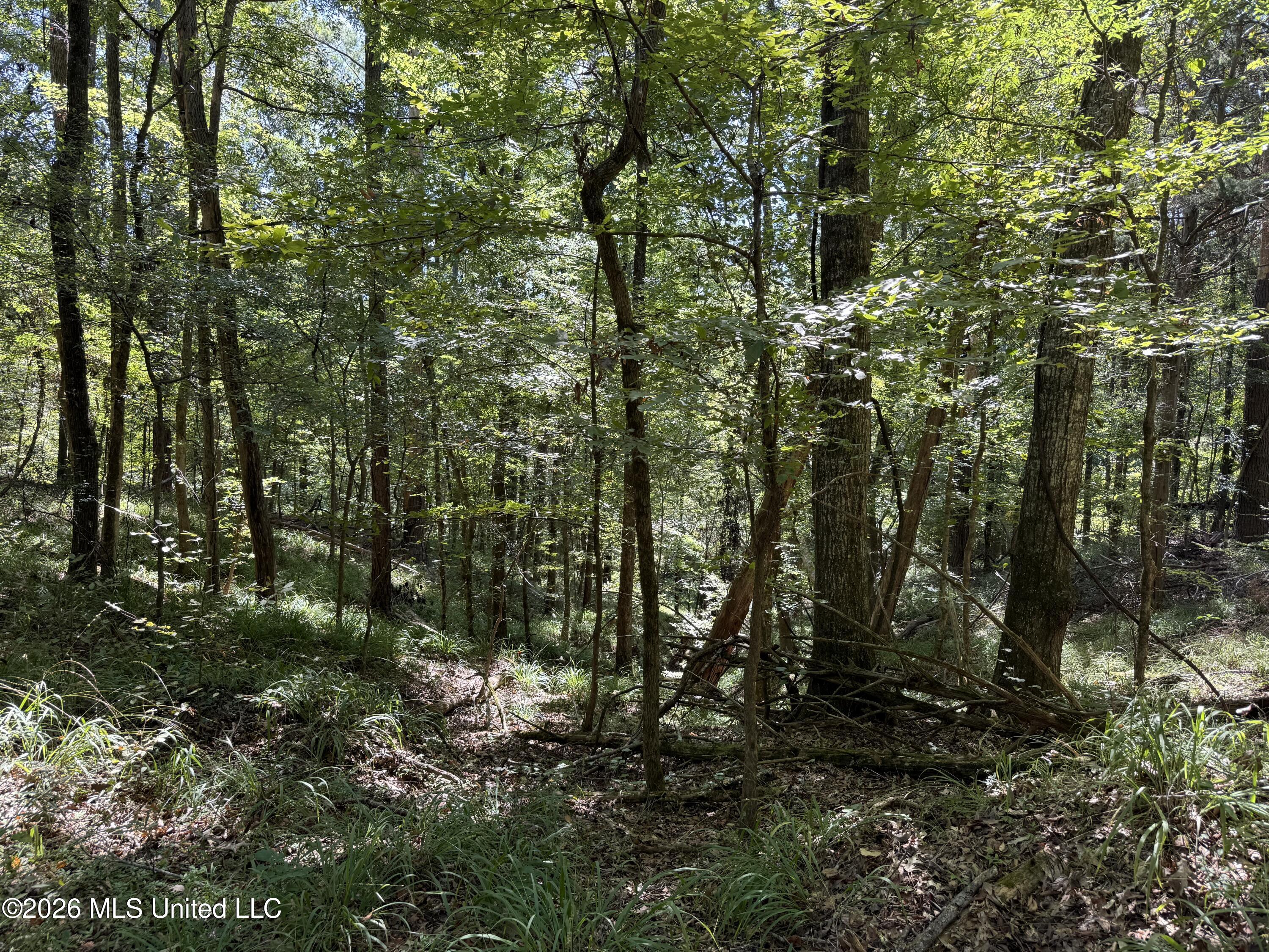 2053 Warrenton Property Photo 87