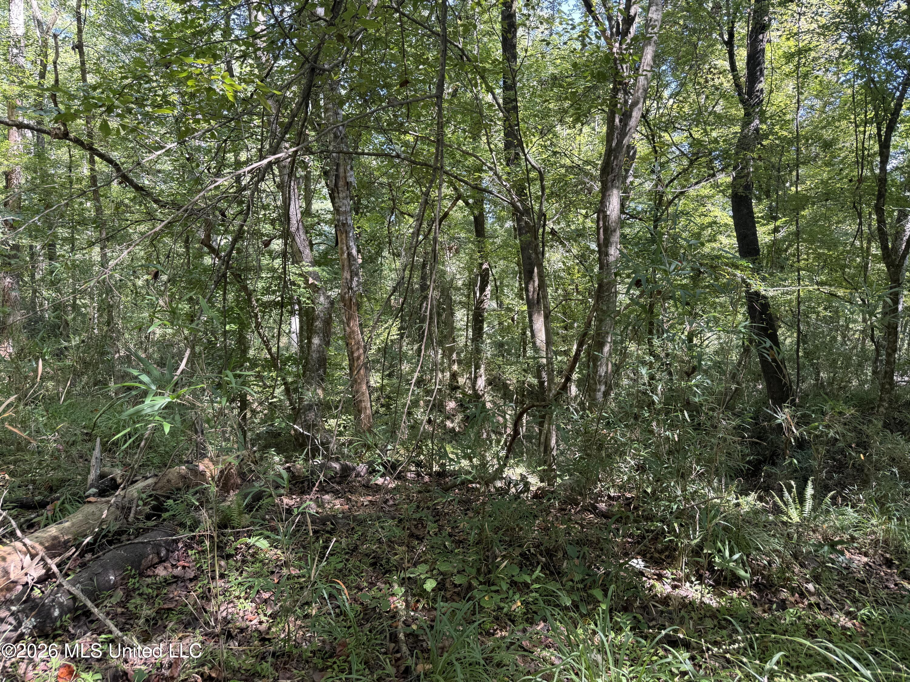 2053 Warrenton Property Photo 88