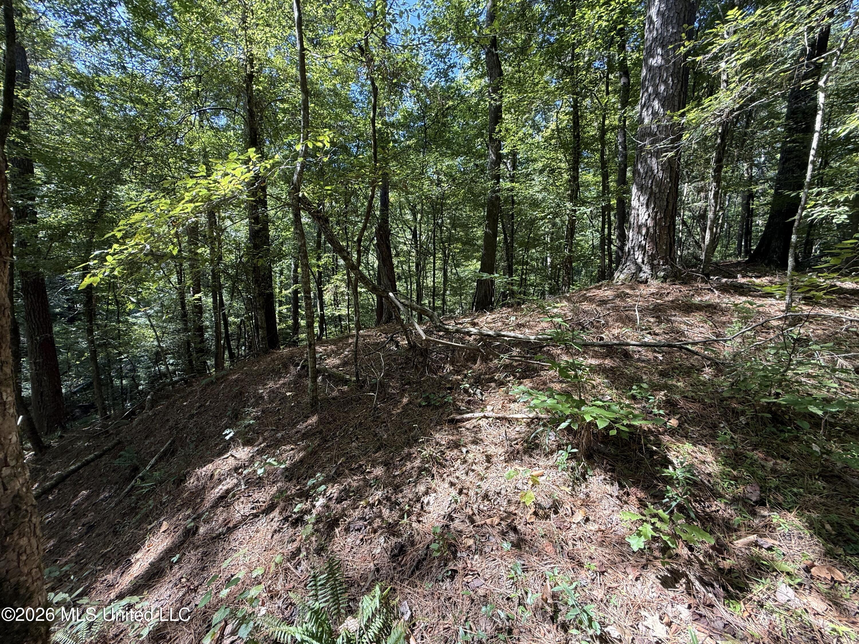2053 Warrenton Property Photo 89