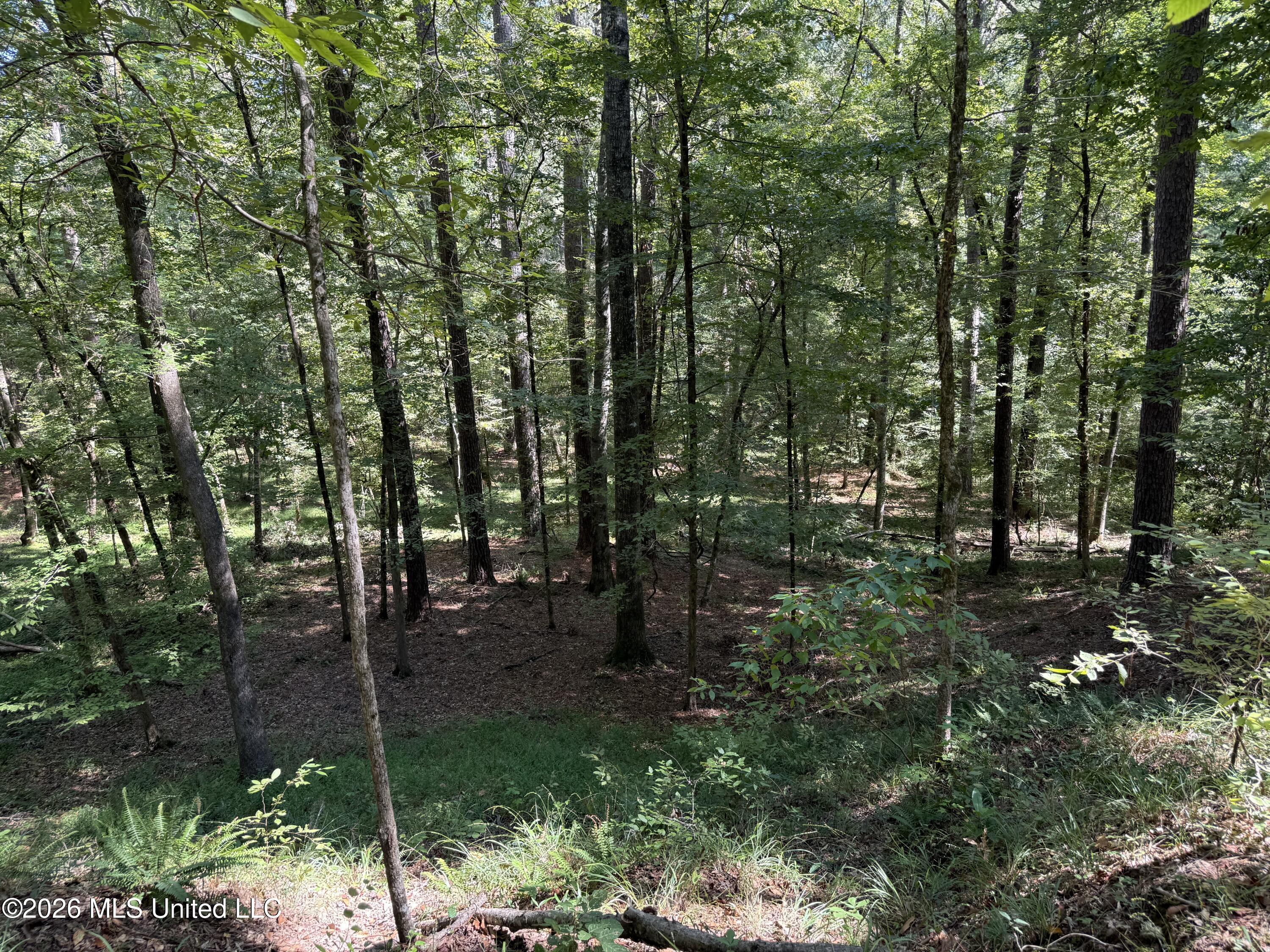 2053 Warrenton Property Photo 92