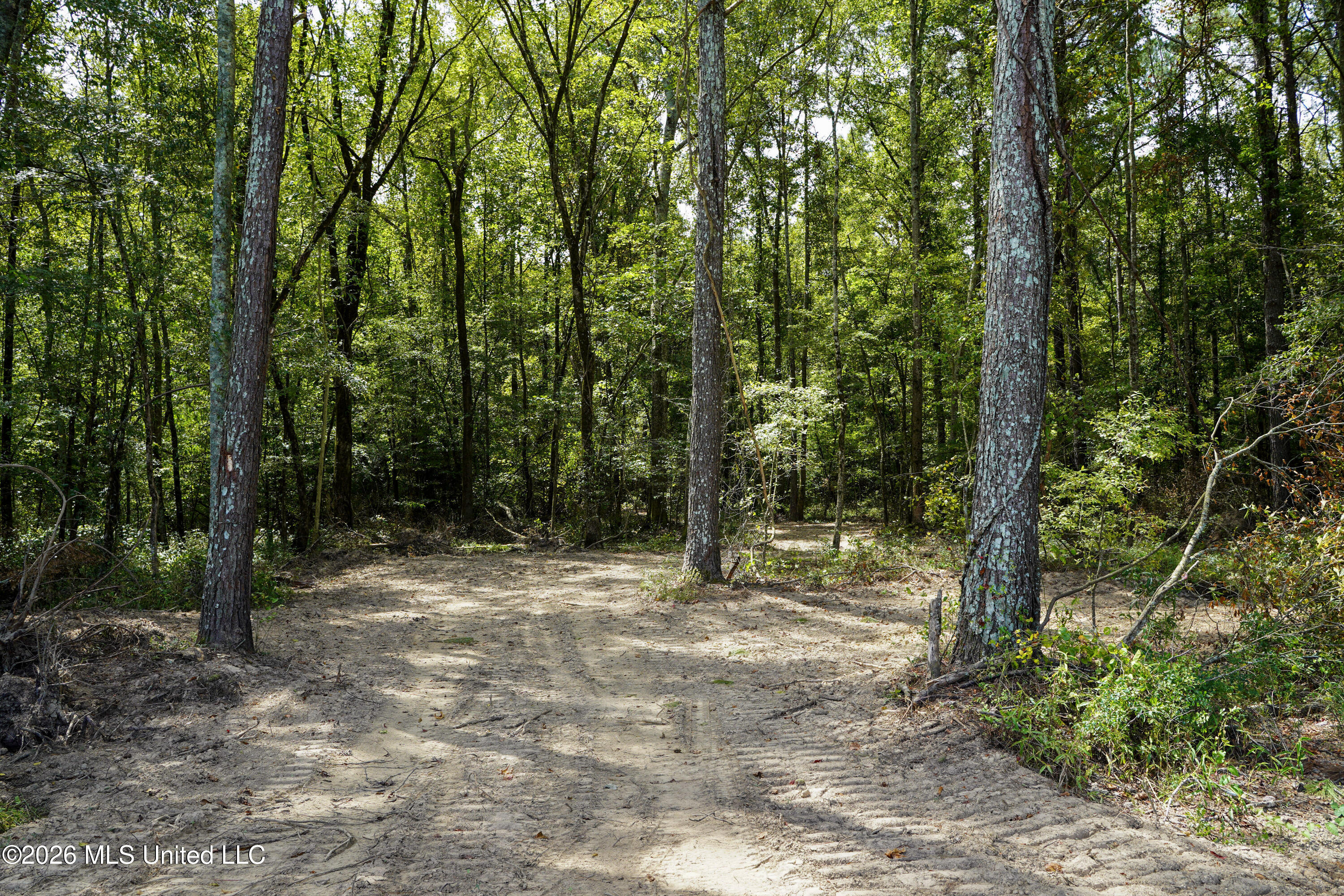 Johns Shiloh Road Property Photo 1