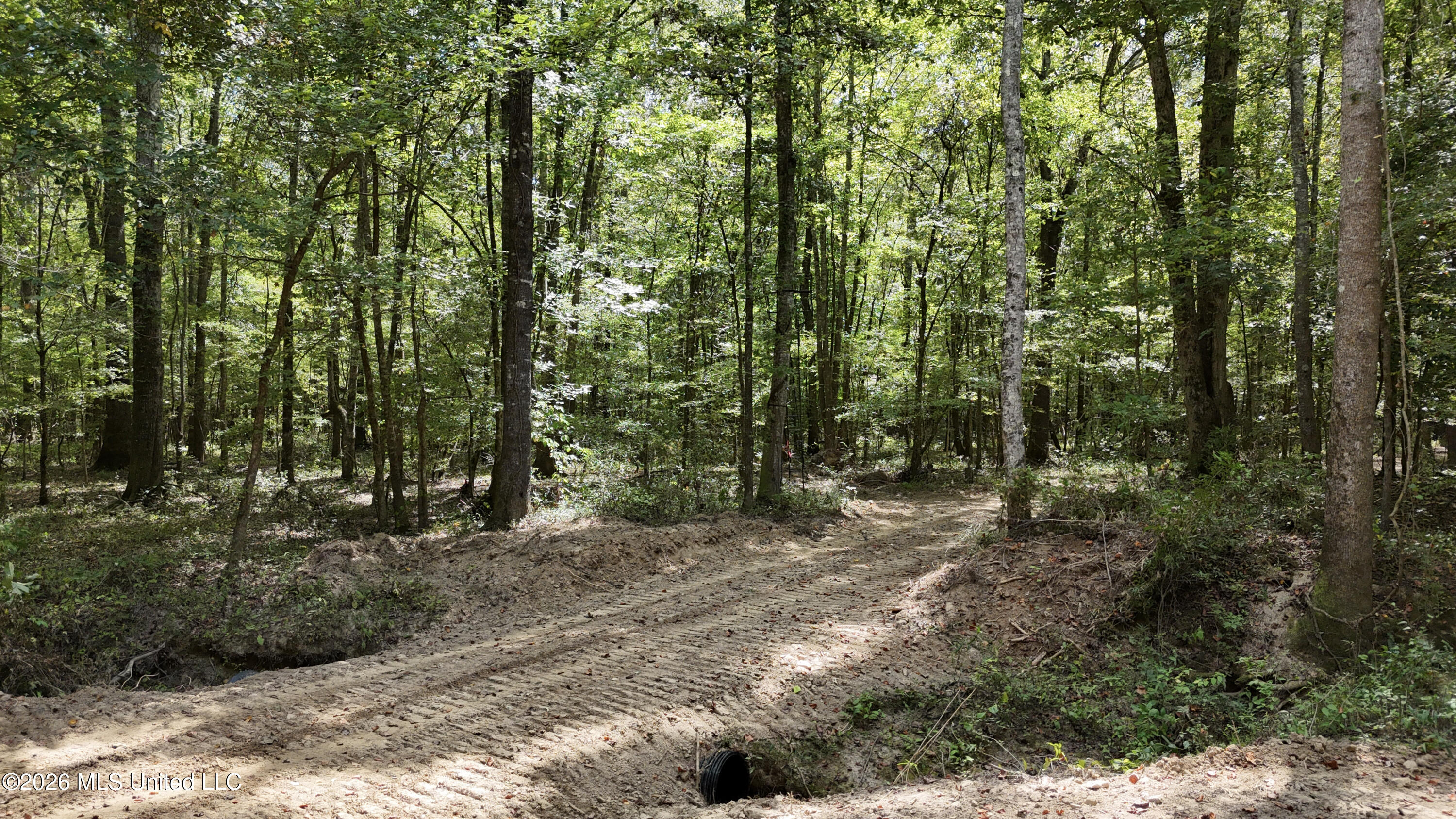 Johns Shiloh Road Property Photo 3