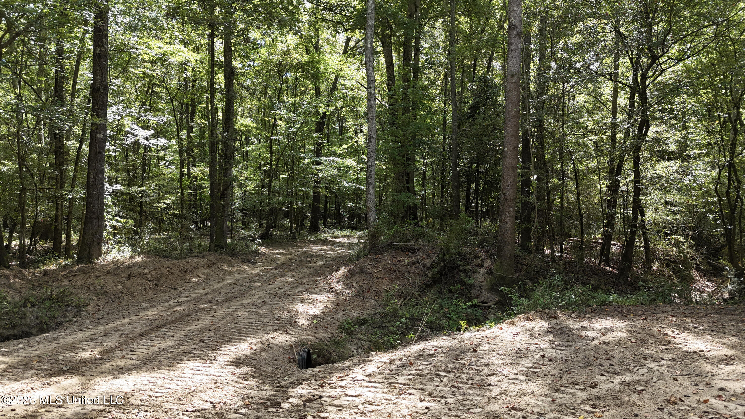 Johns Shiloh Road Property Photo 5