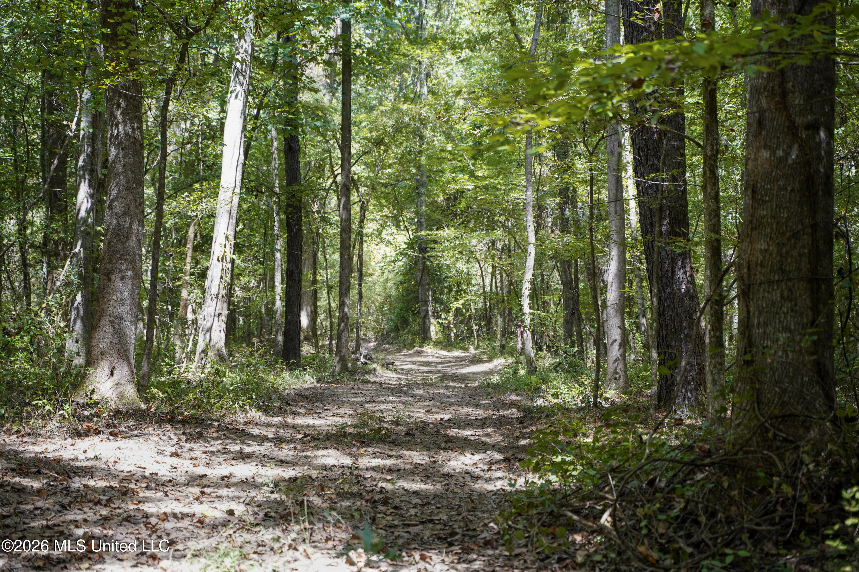 Johns Shiloh Road Property Photo 7