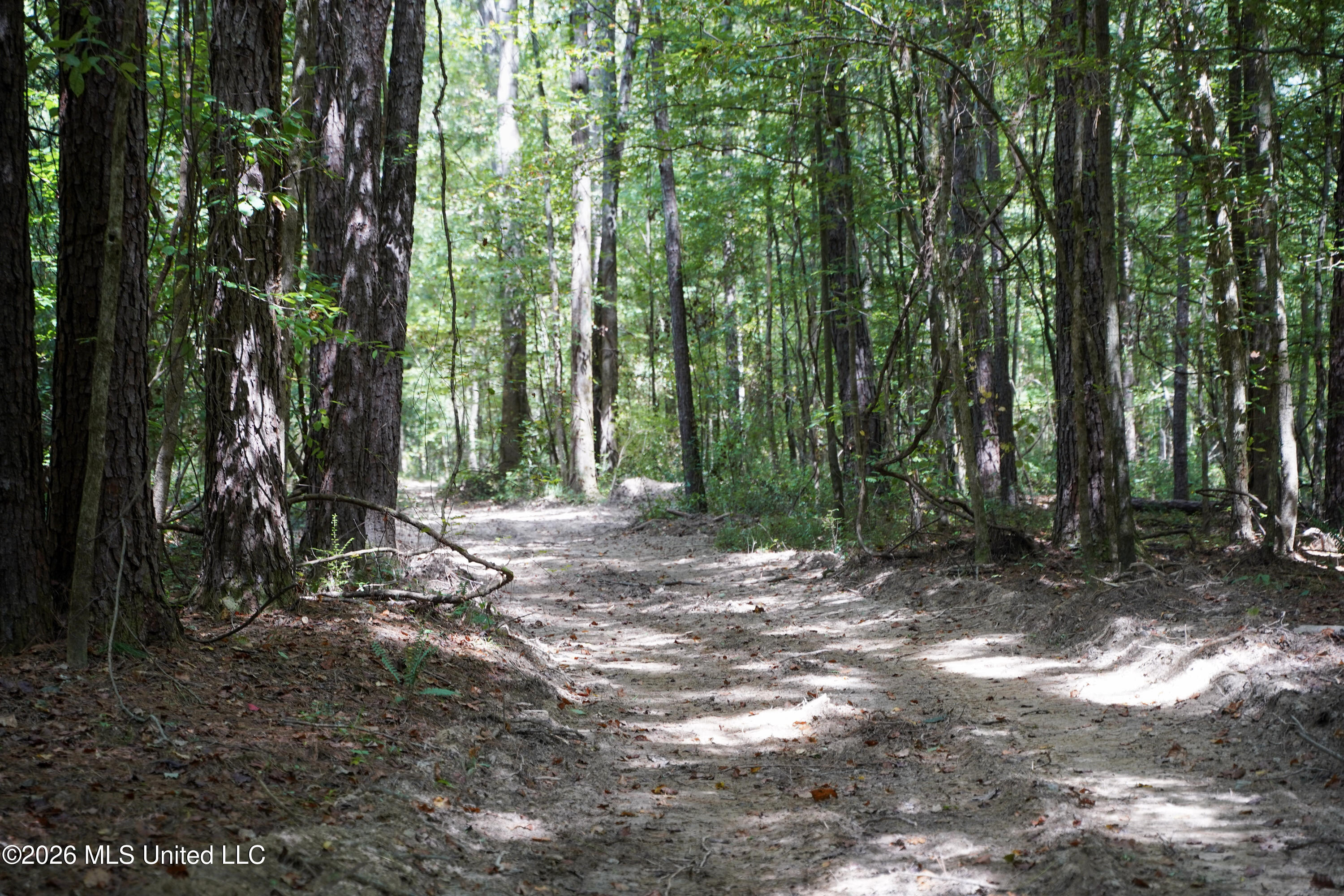 Johns Shiloh Road Property Photo 8