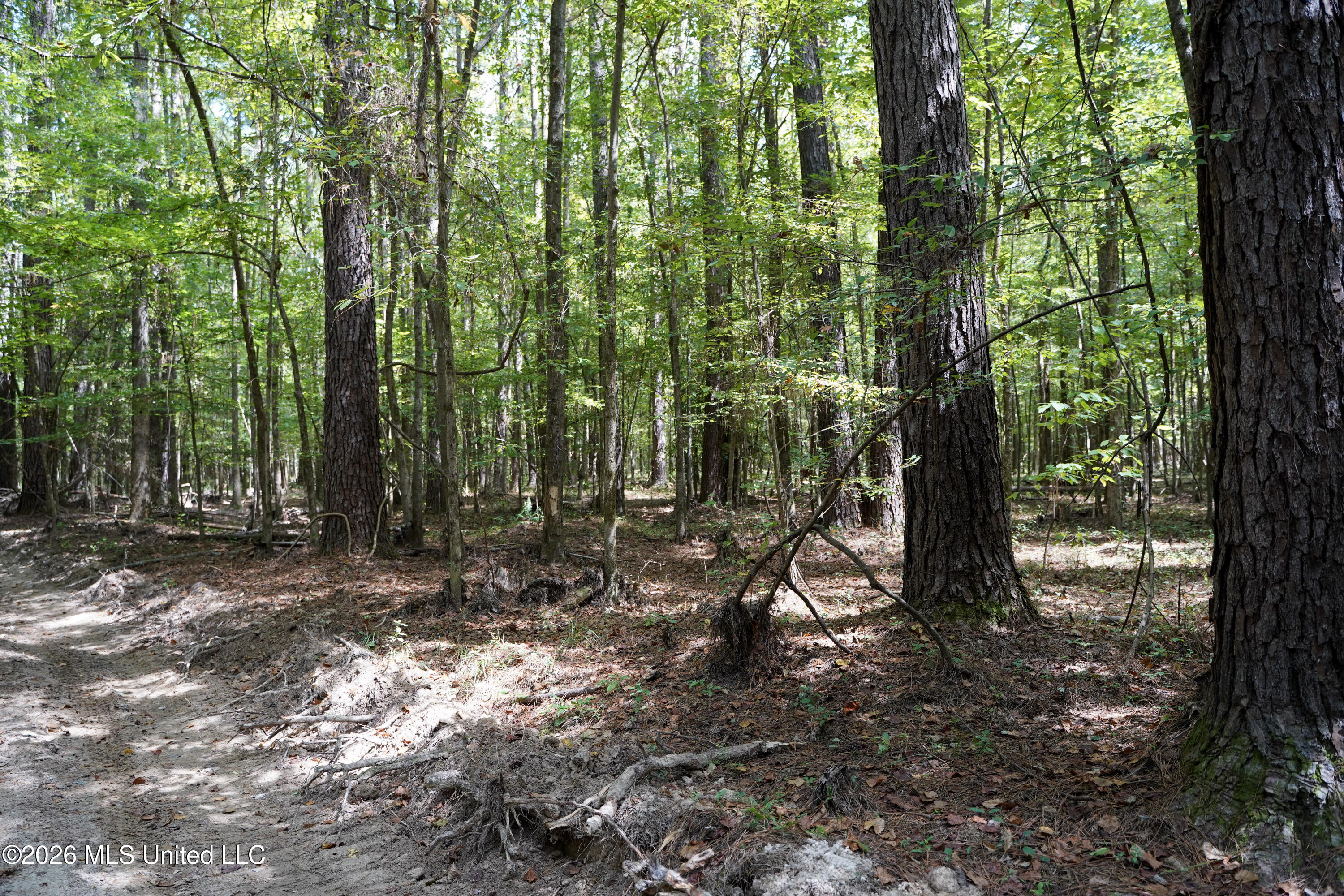 Johns Shiloh Road Property Photo 9