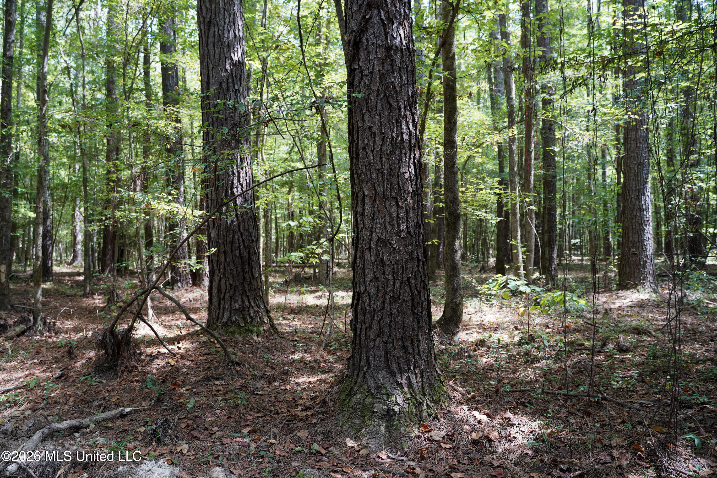 Johns Shiloh Road Property Photo 10