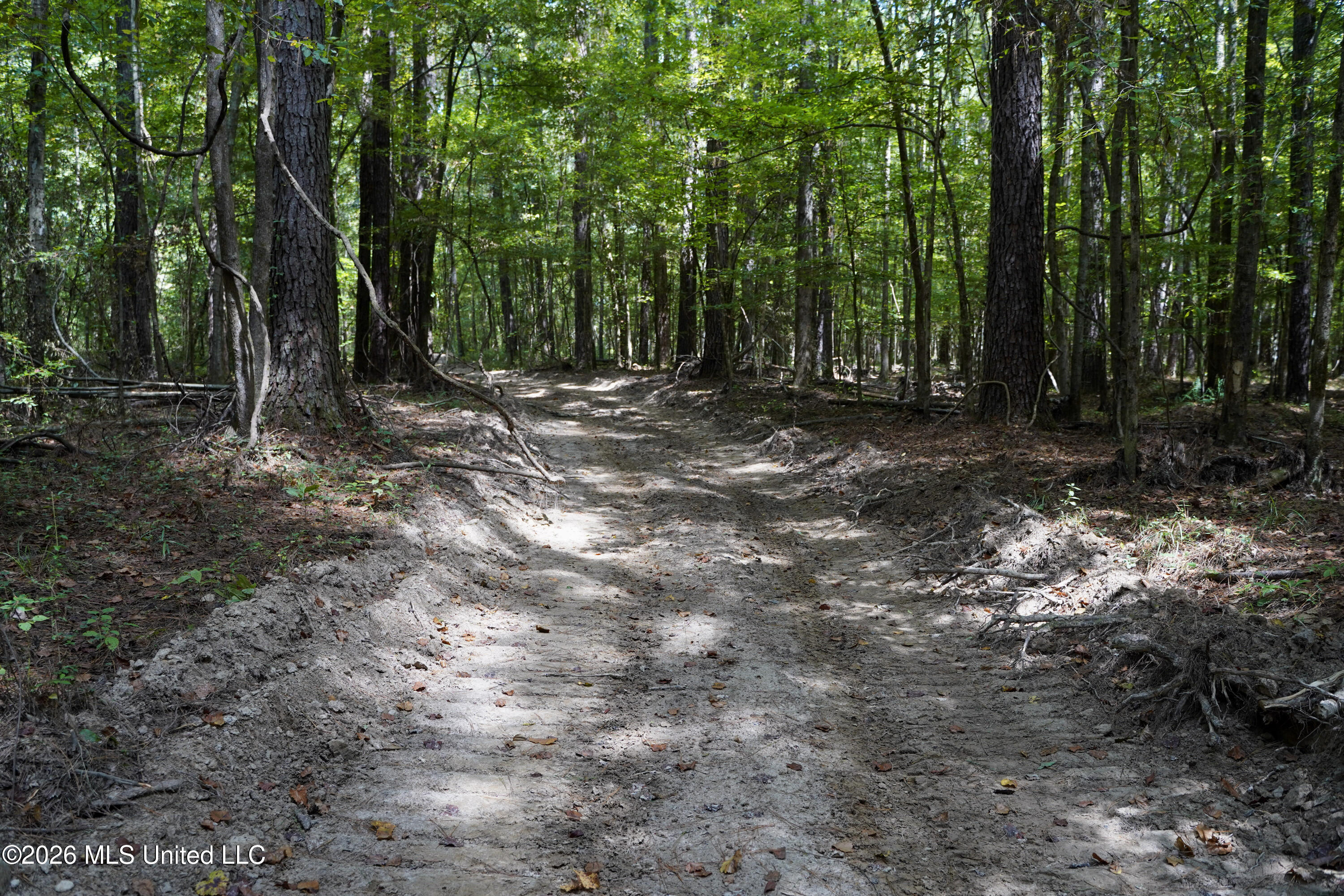 Johns Shiloh Road Property Photo 11