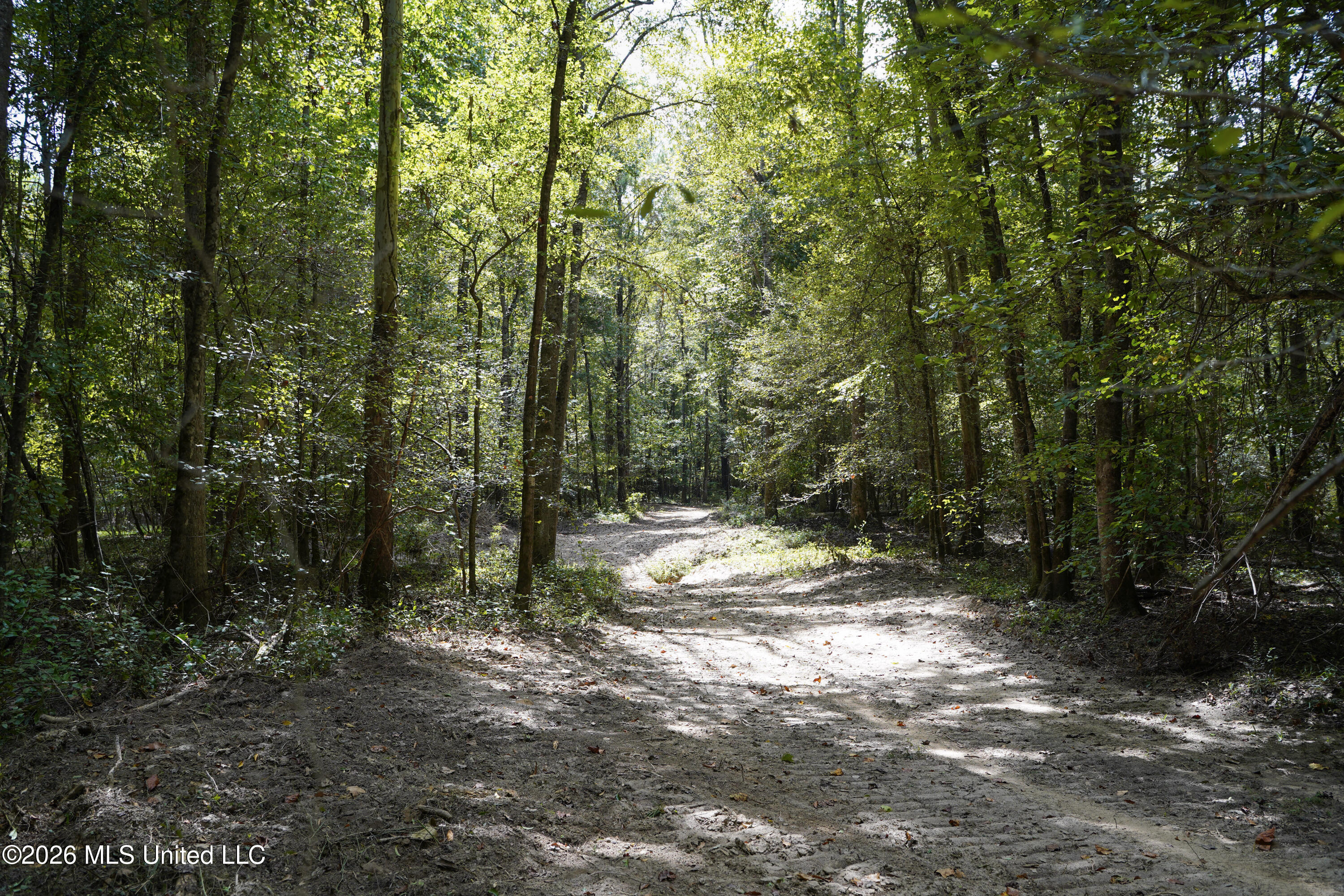 Johns Shiloh Road Property Photo 12