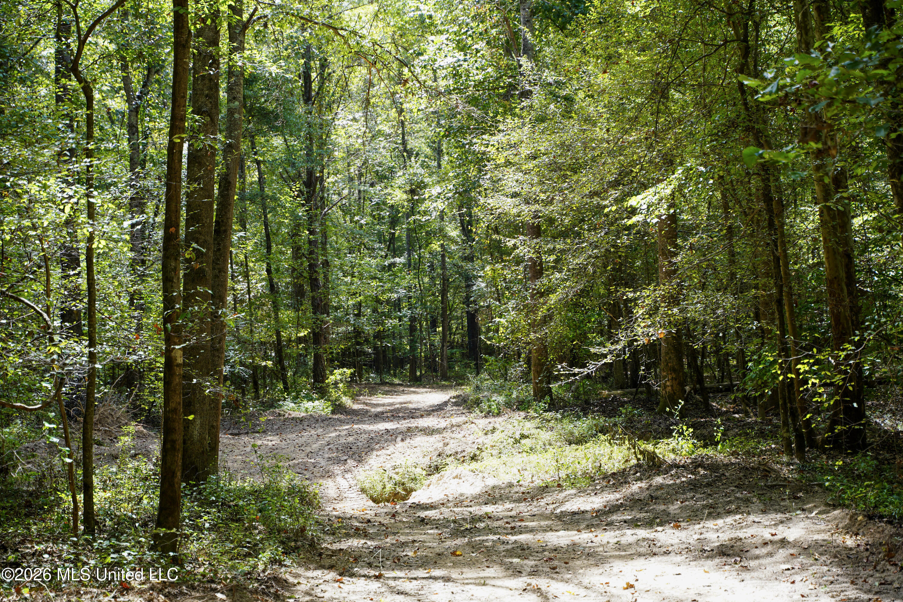 Johns Shiloh Road Property Photo 13