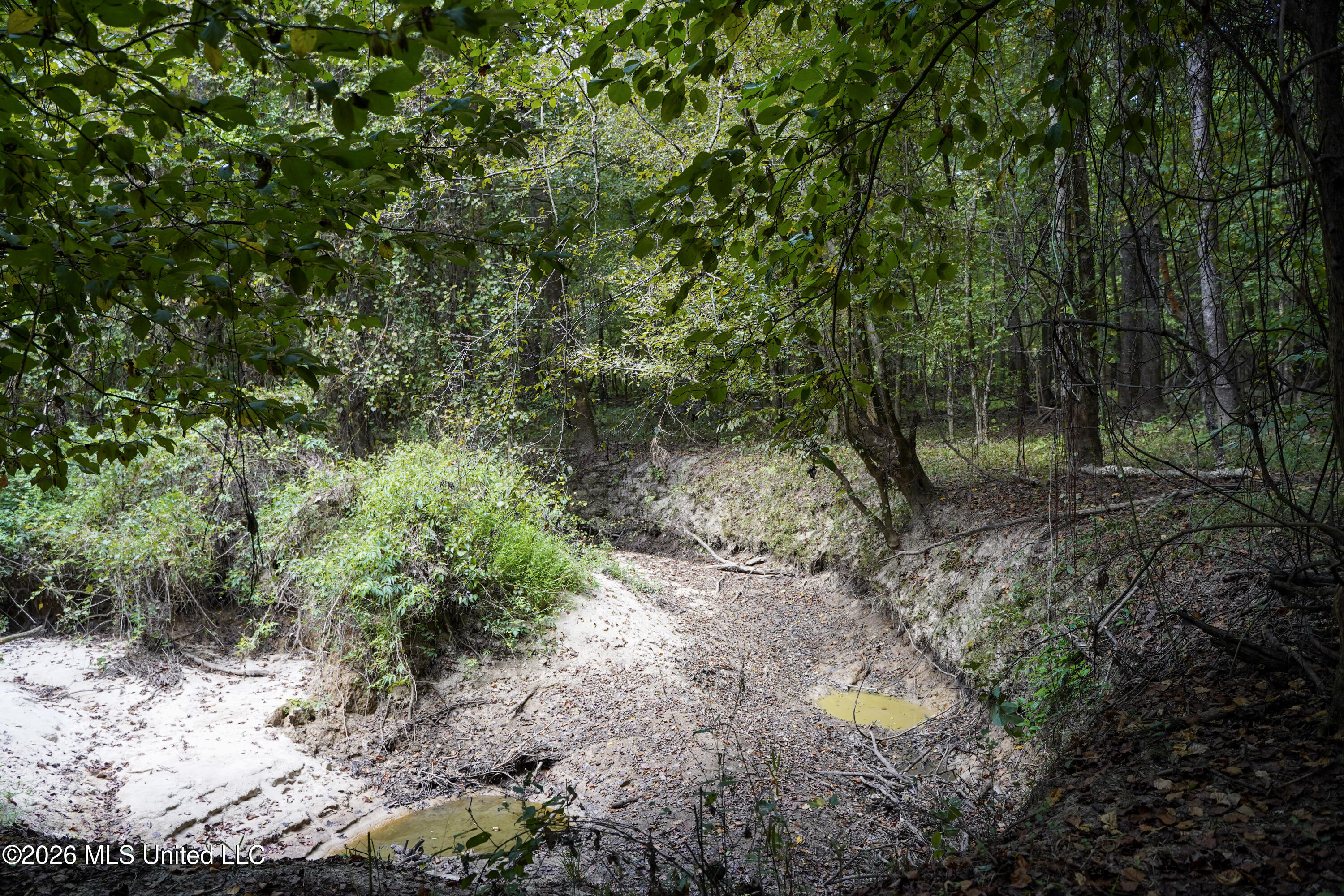 Johns Shiloh Road Property Photo 15