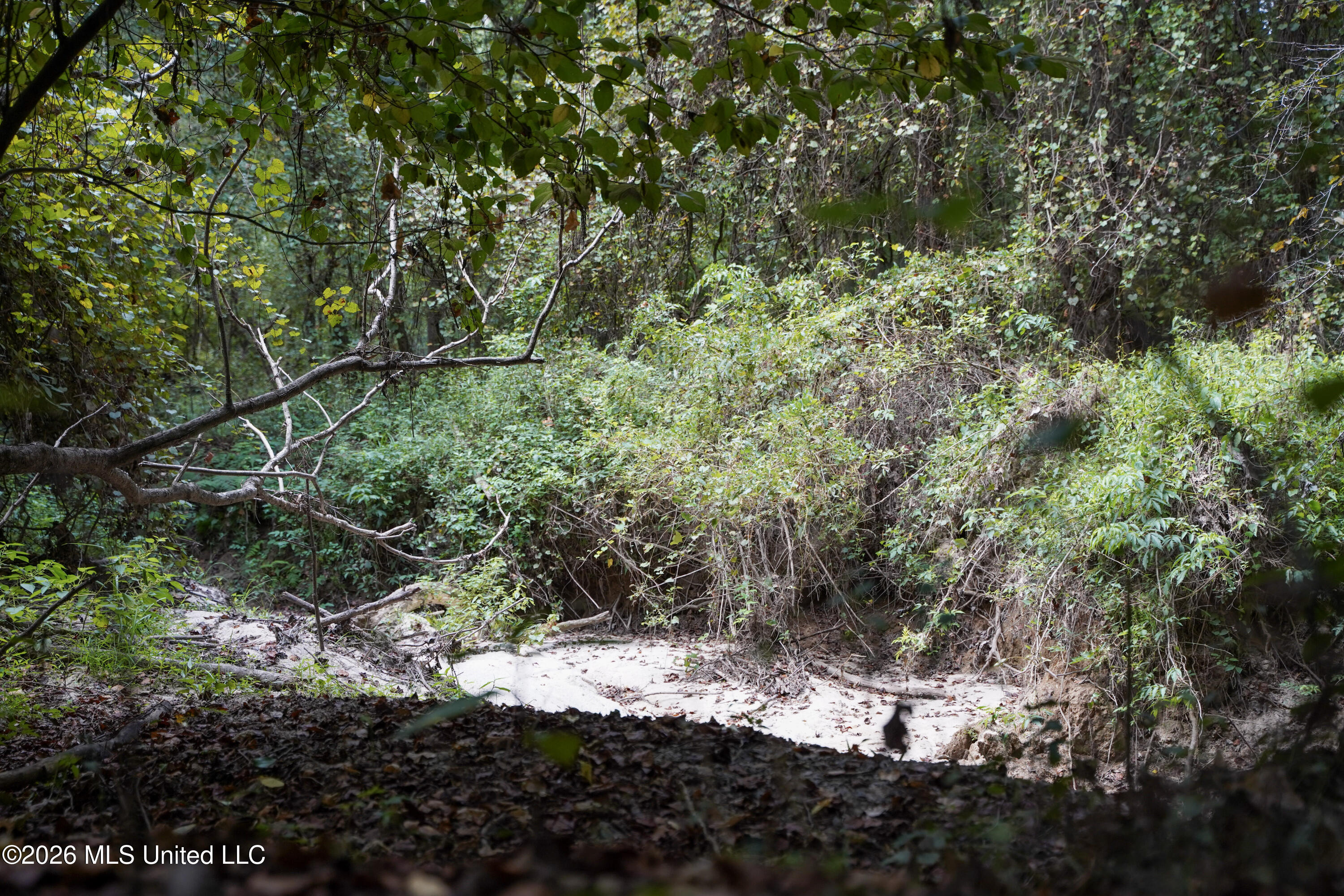 Johns Shiloh Road Property Photo 16