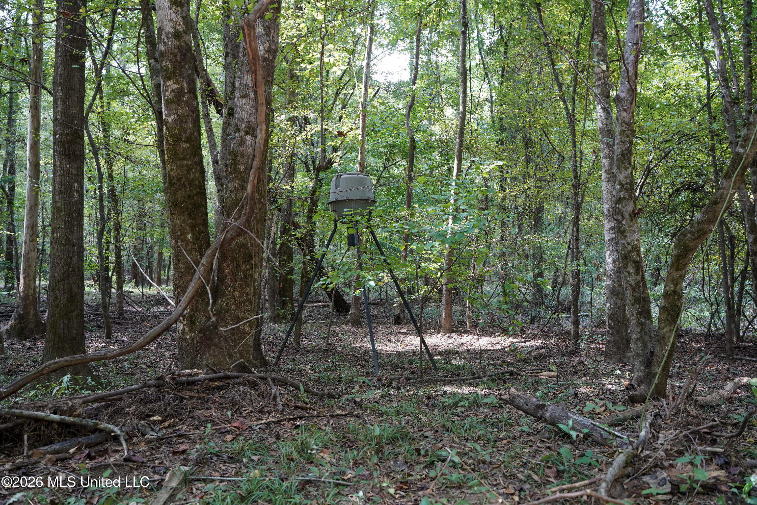 Johns Shiloh Road Property Photo 20