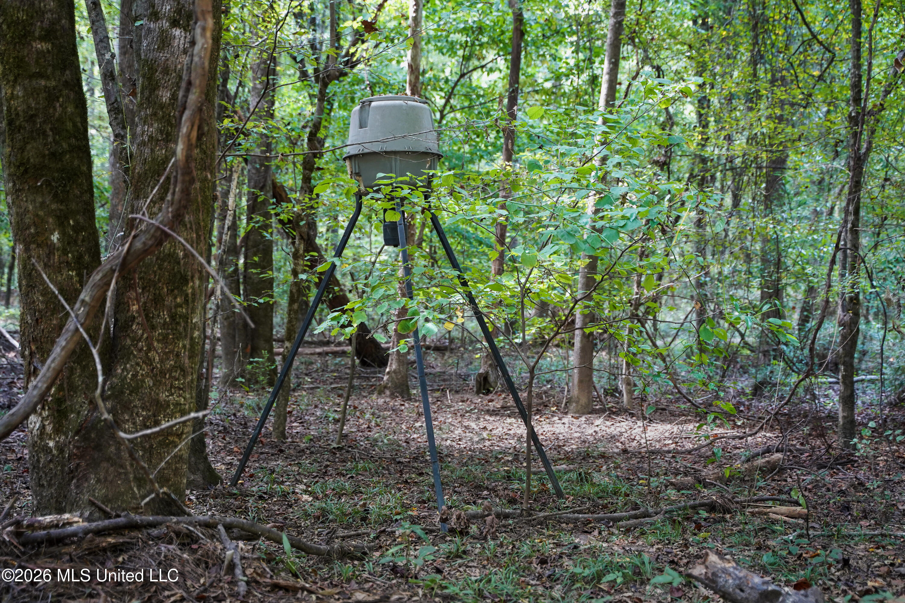 Johns Shiloh Road Property Photo 21