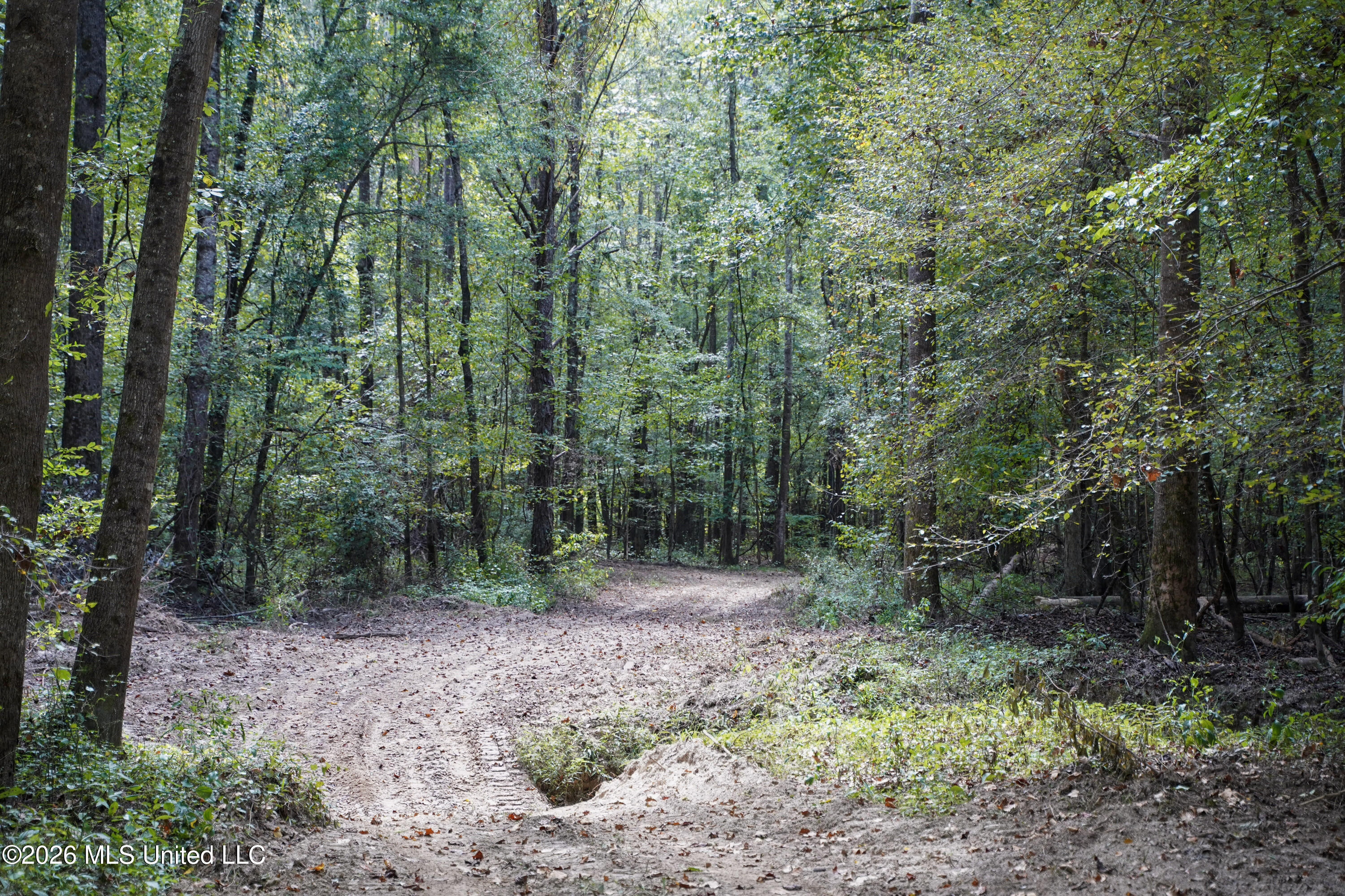Johns Shiloh Road Property Photo 22
