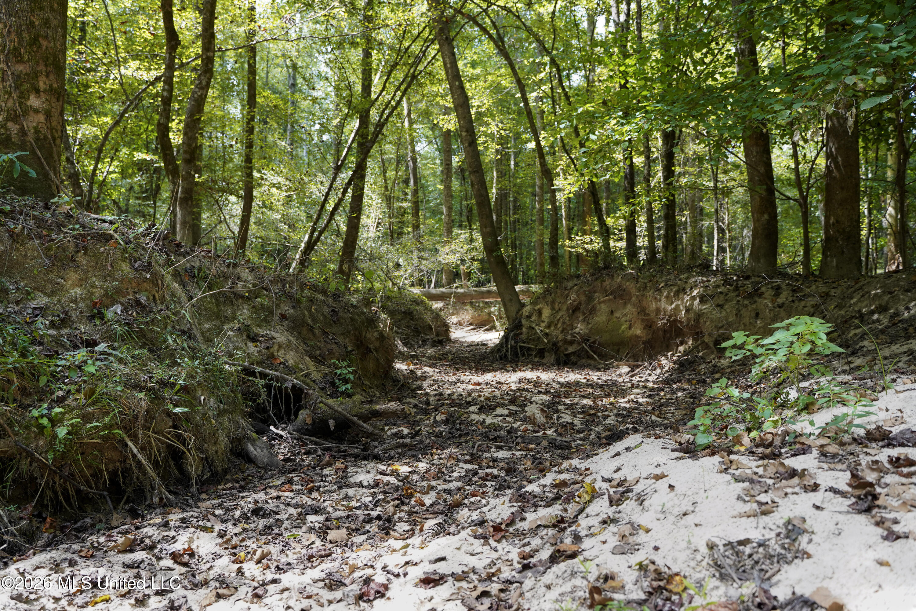 Johns Shiloh Road Property Photo 24