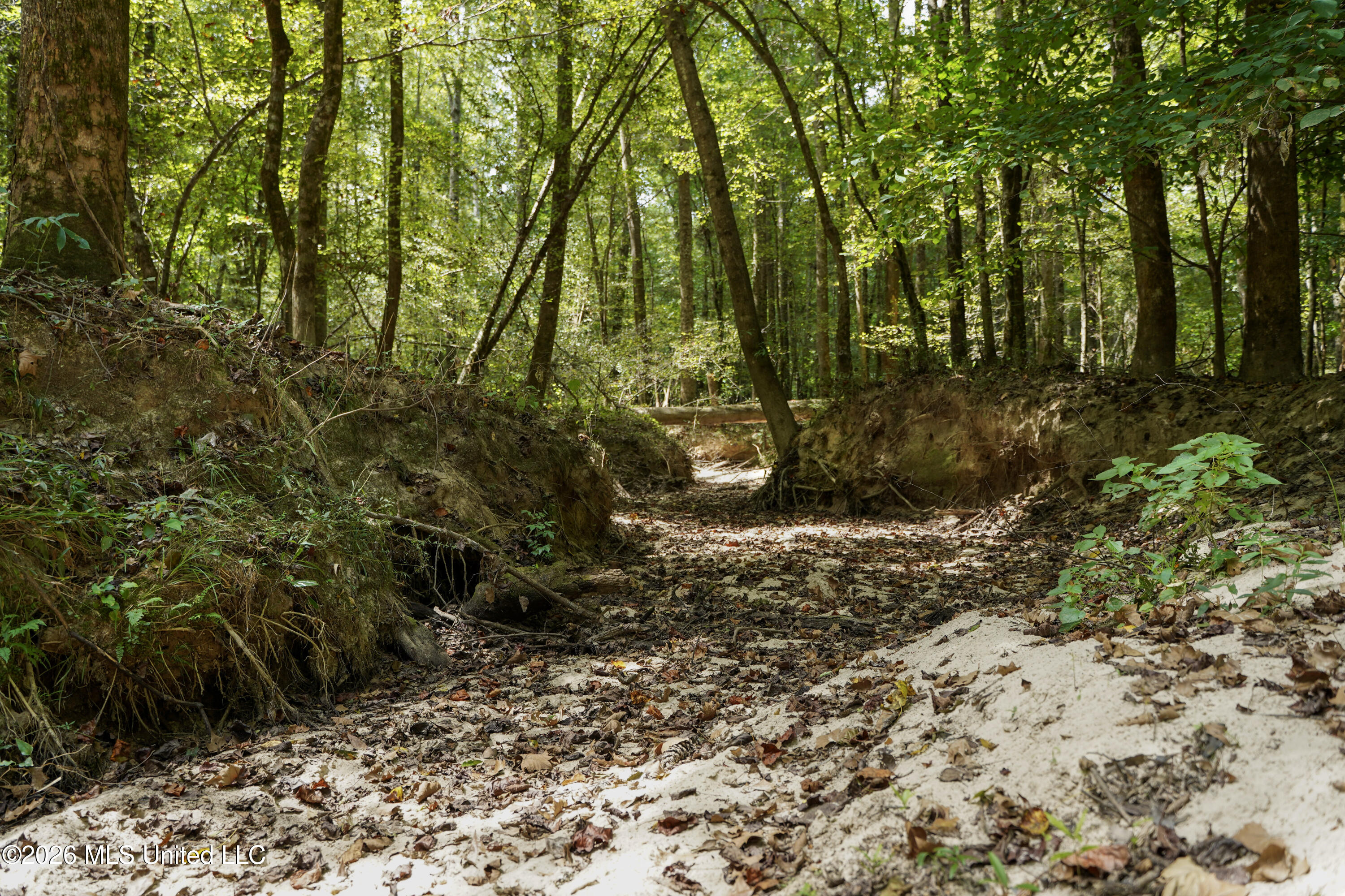Johns Shiloh Road Property Photo 25