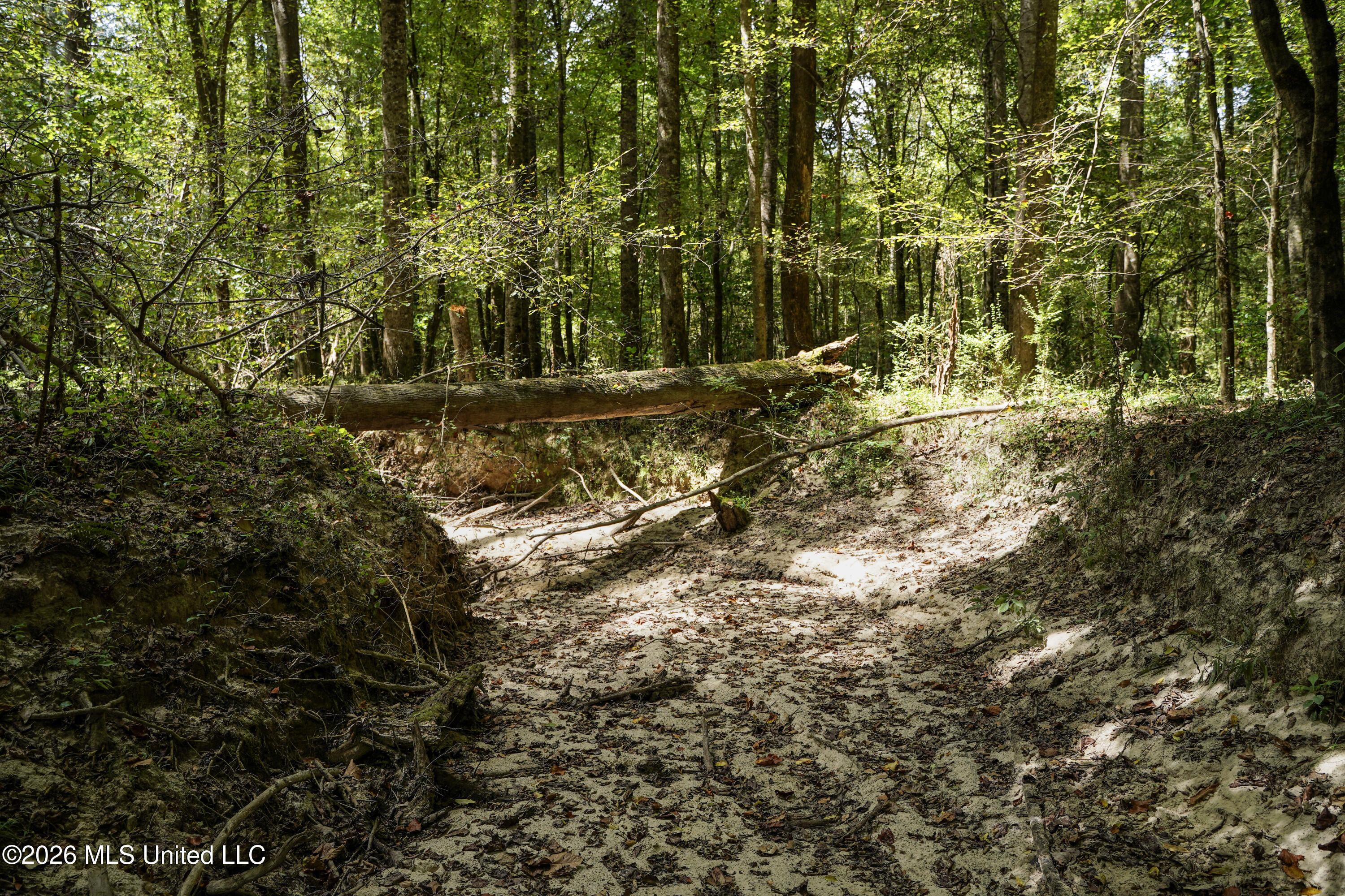 Johns Shiloh Road Property Photo 26