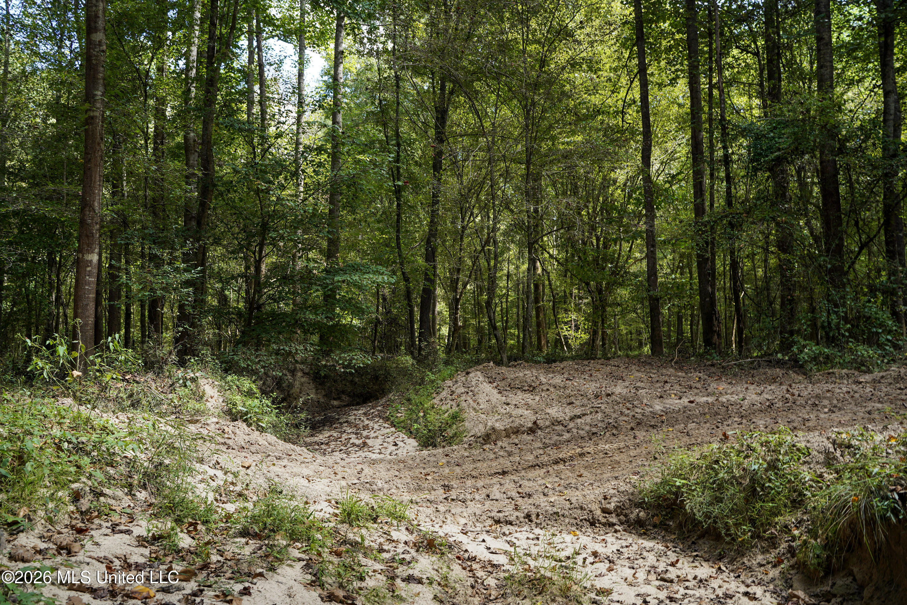 Johns Shiloh Road Property Photo 27