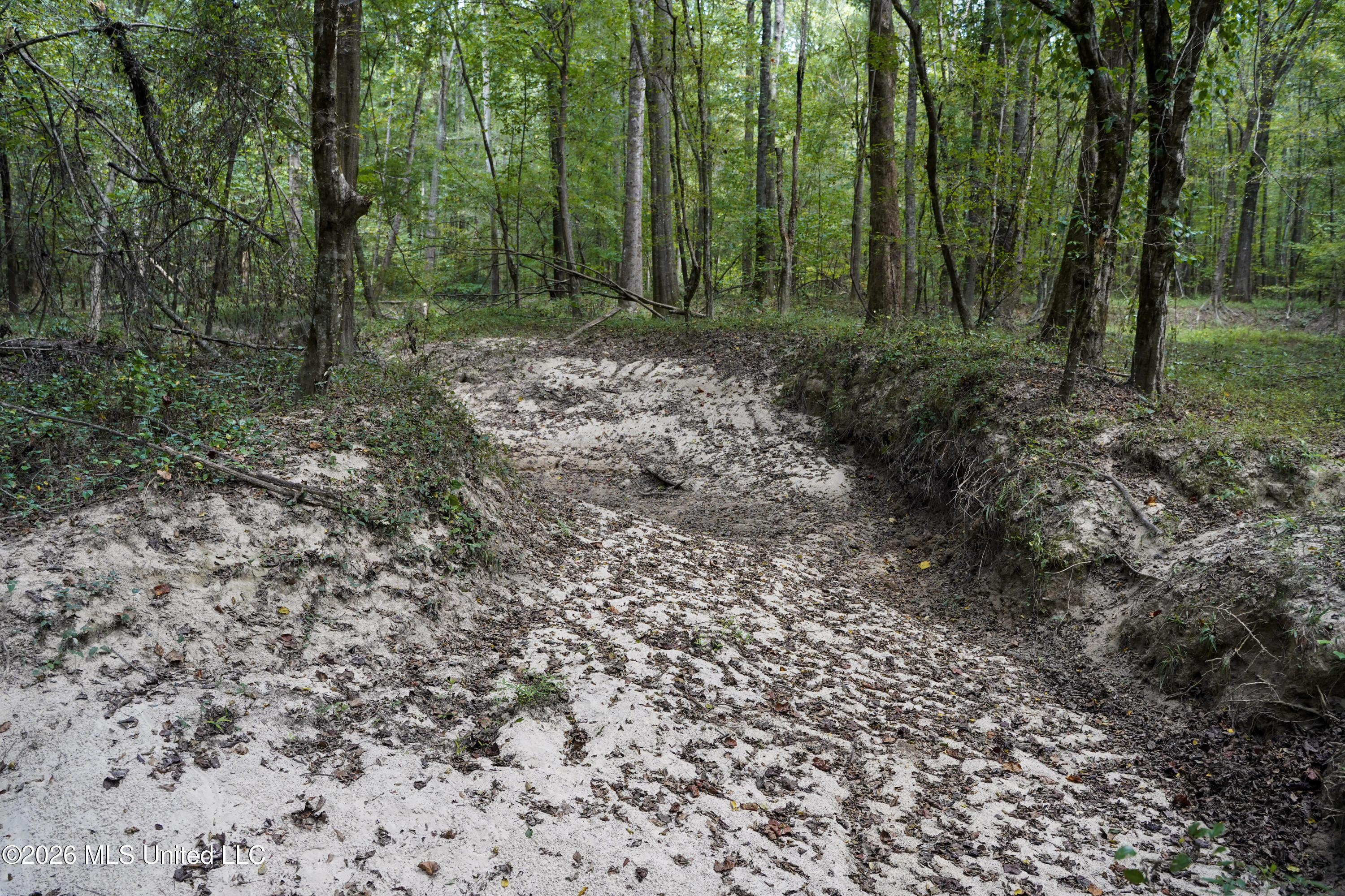 Johns Shiloh Road Property Photo 28
