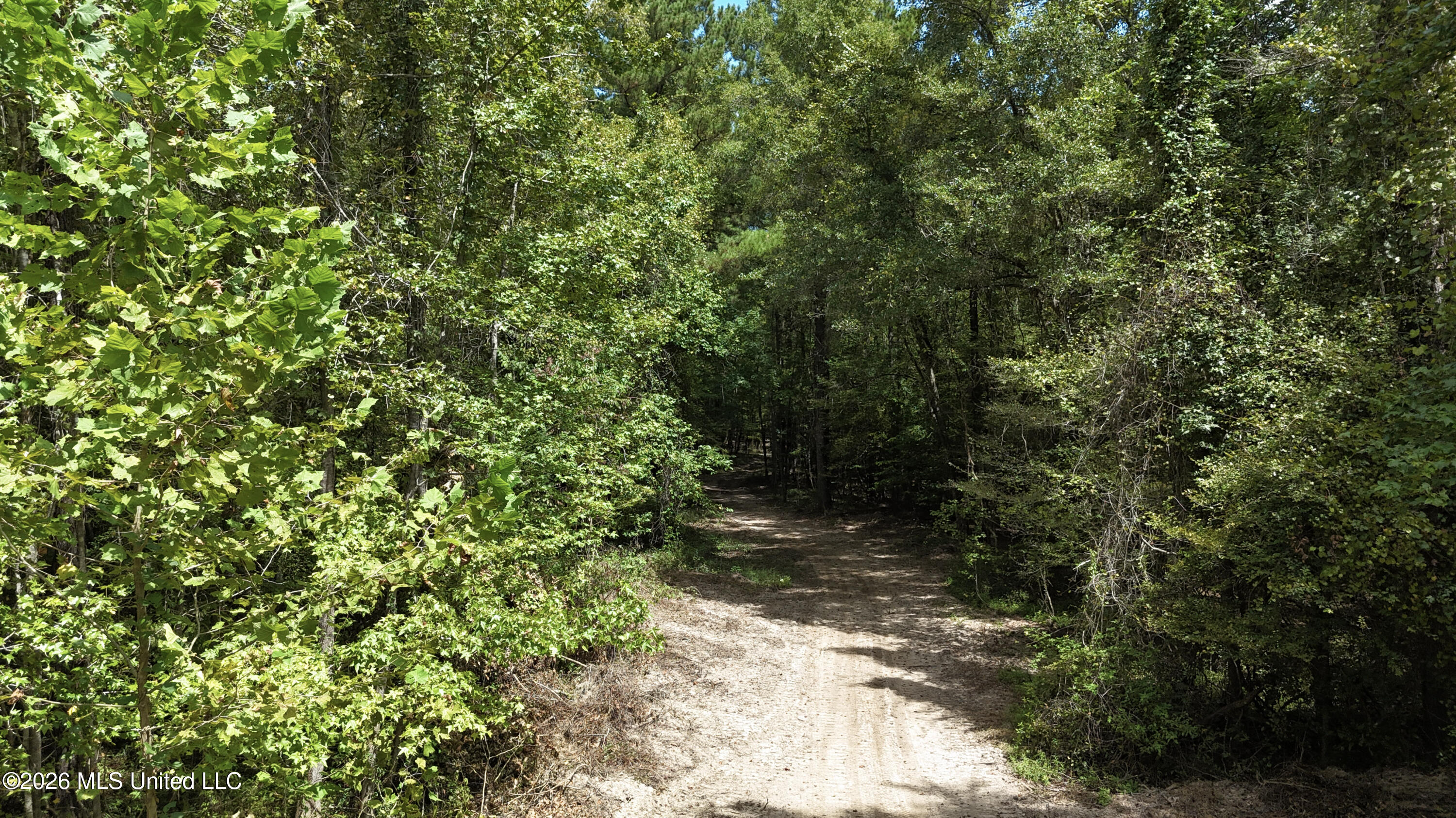Johns Shiloh Road Property Photo 29