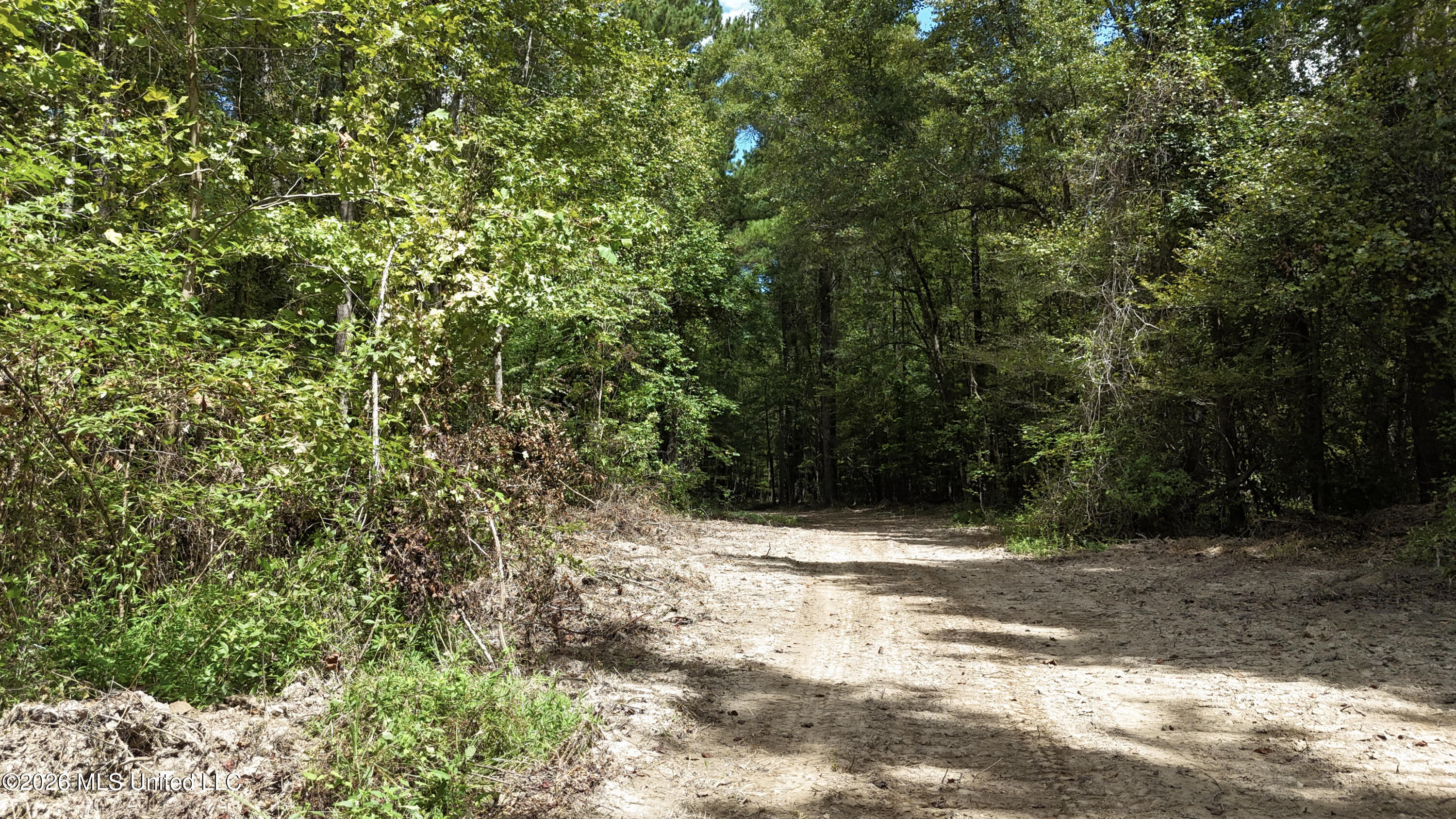 Johns Shiloh Road Property Photo 30