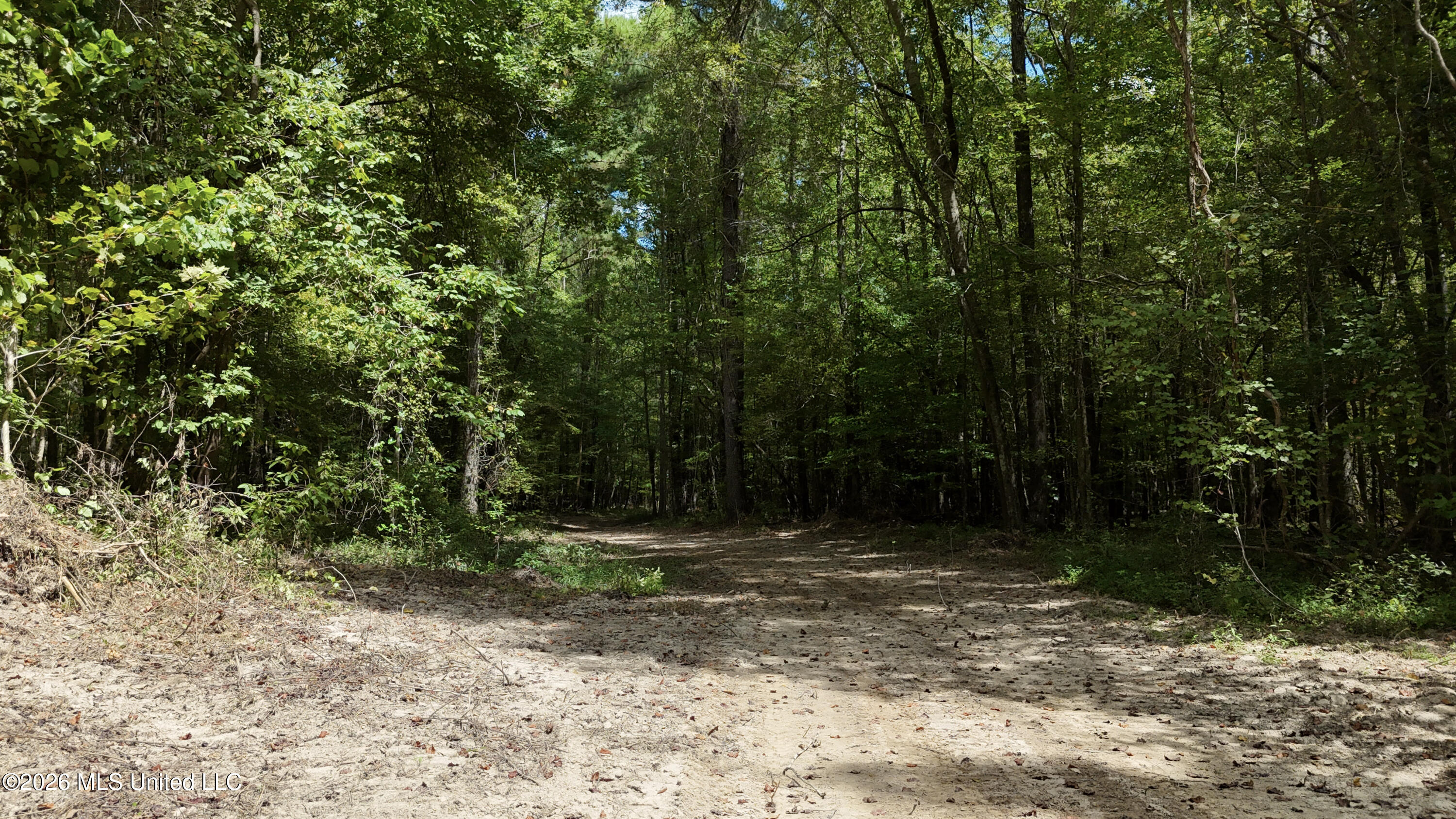 Johns Shiloh Road Property Photo 31