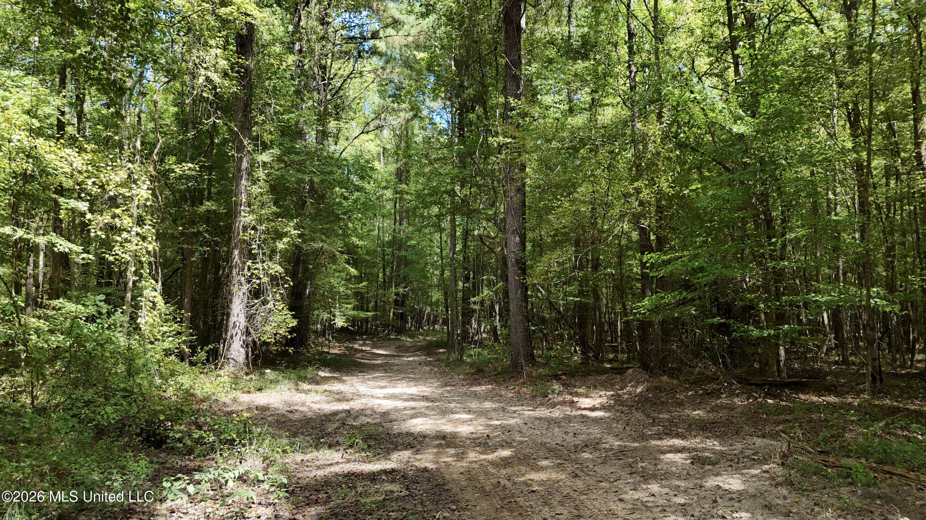 Johns Shiloh Road Property Photo 32
