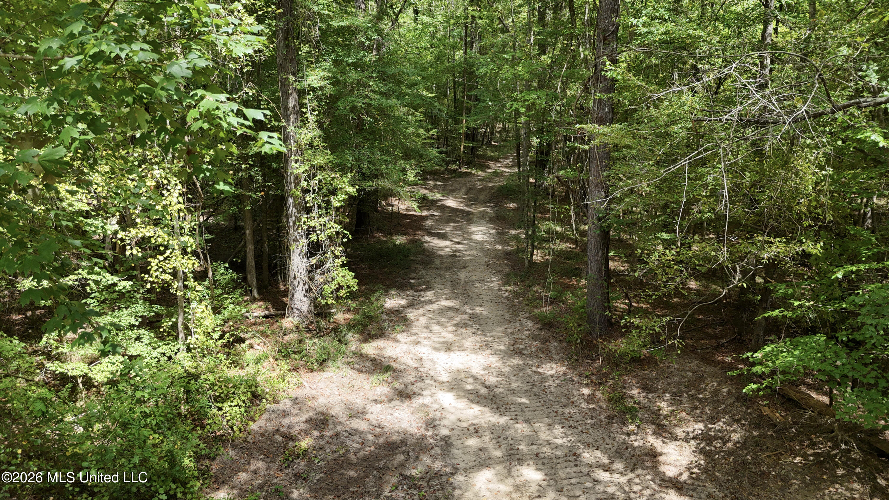Johns Shiloh Road Property Photo 33
